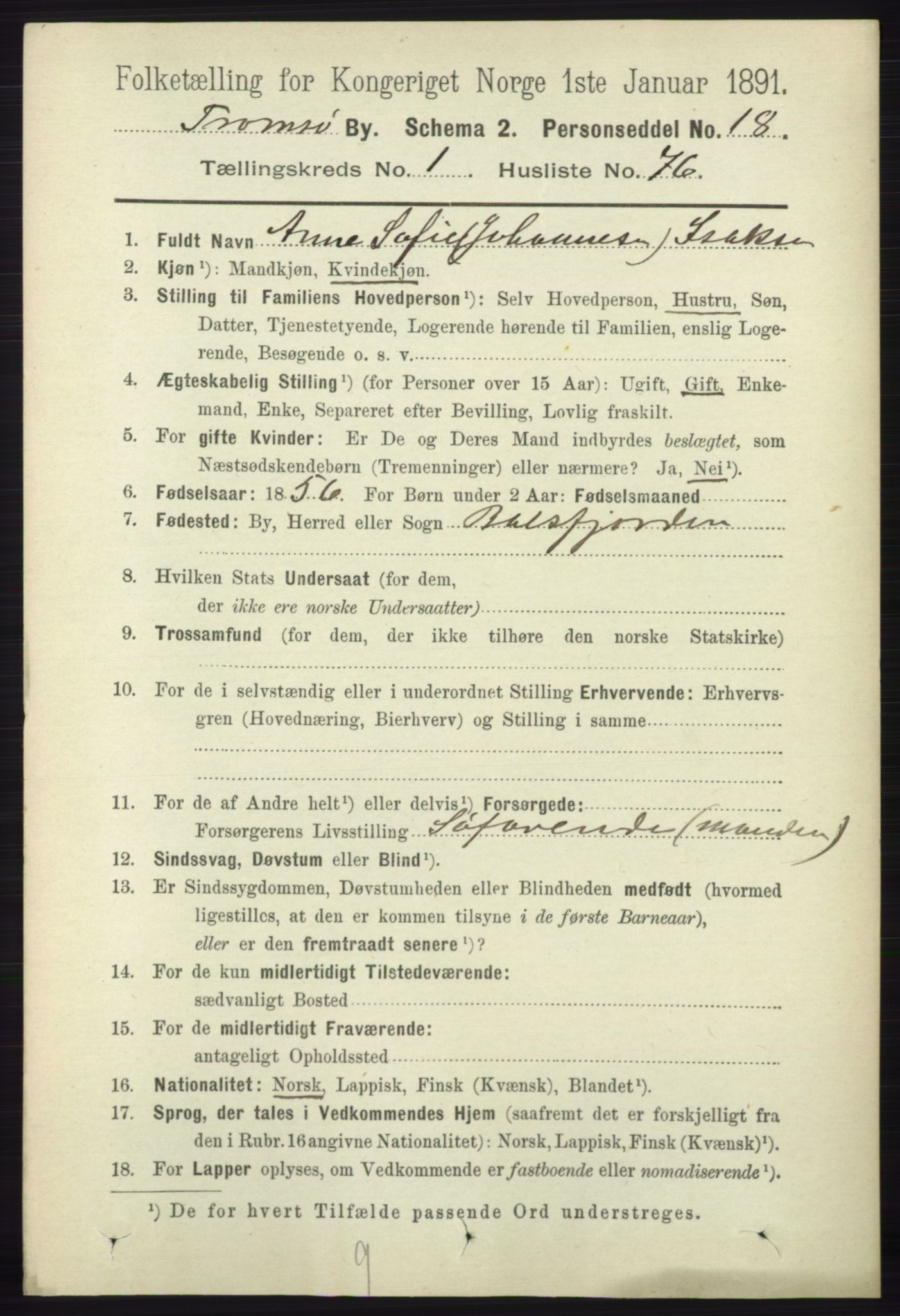 RA, 1891 census for 1902 Tromsø, 1891, p. 1063