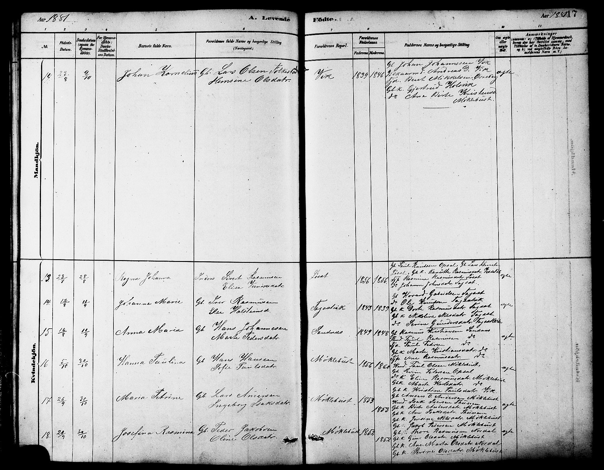 Ministerialprotokoller, klokkerbøker og fødselsregistre - Møre og Romsdal, AV/SAT-A-1454/502/L0027: Parish register (copy) no. 502C01, 1878-1908, p. 17