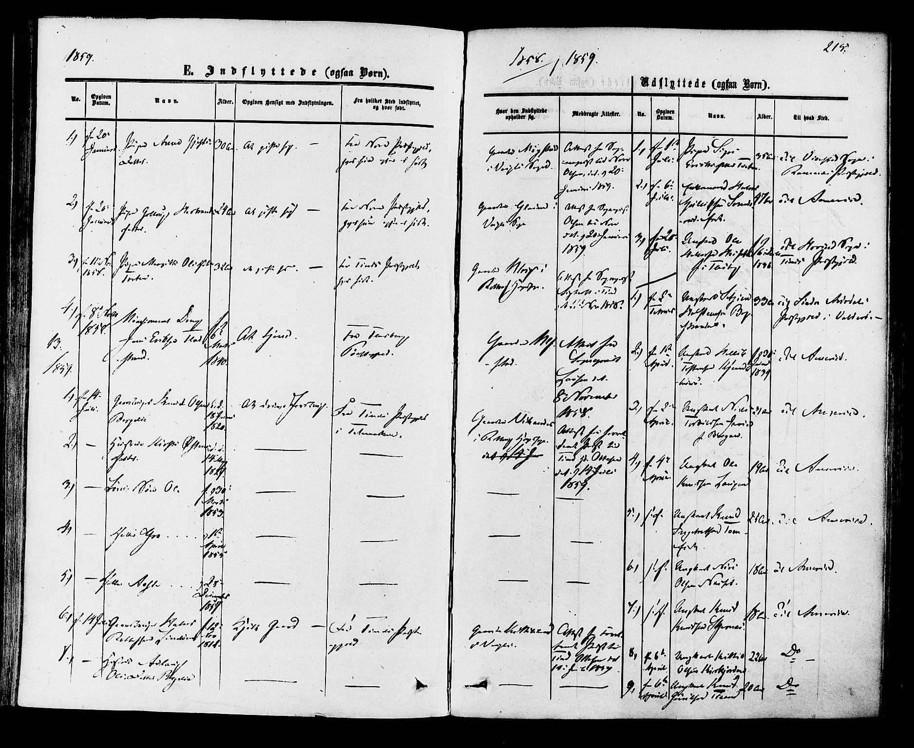 Rollag kirkebøker, SAKO/A-240/F/Fa/L0009: Parish register (official) no. I 9, 1860-1874, p. 215