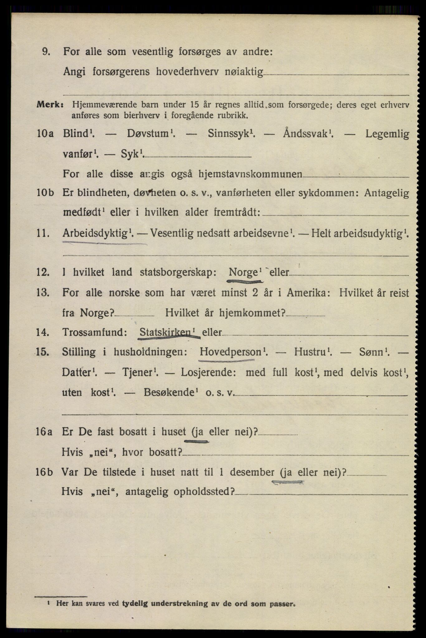 SAKO, 1920 census for Larvik, 1920, p. 13653