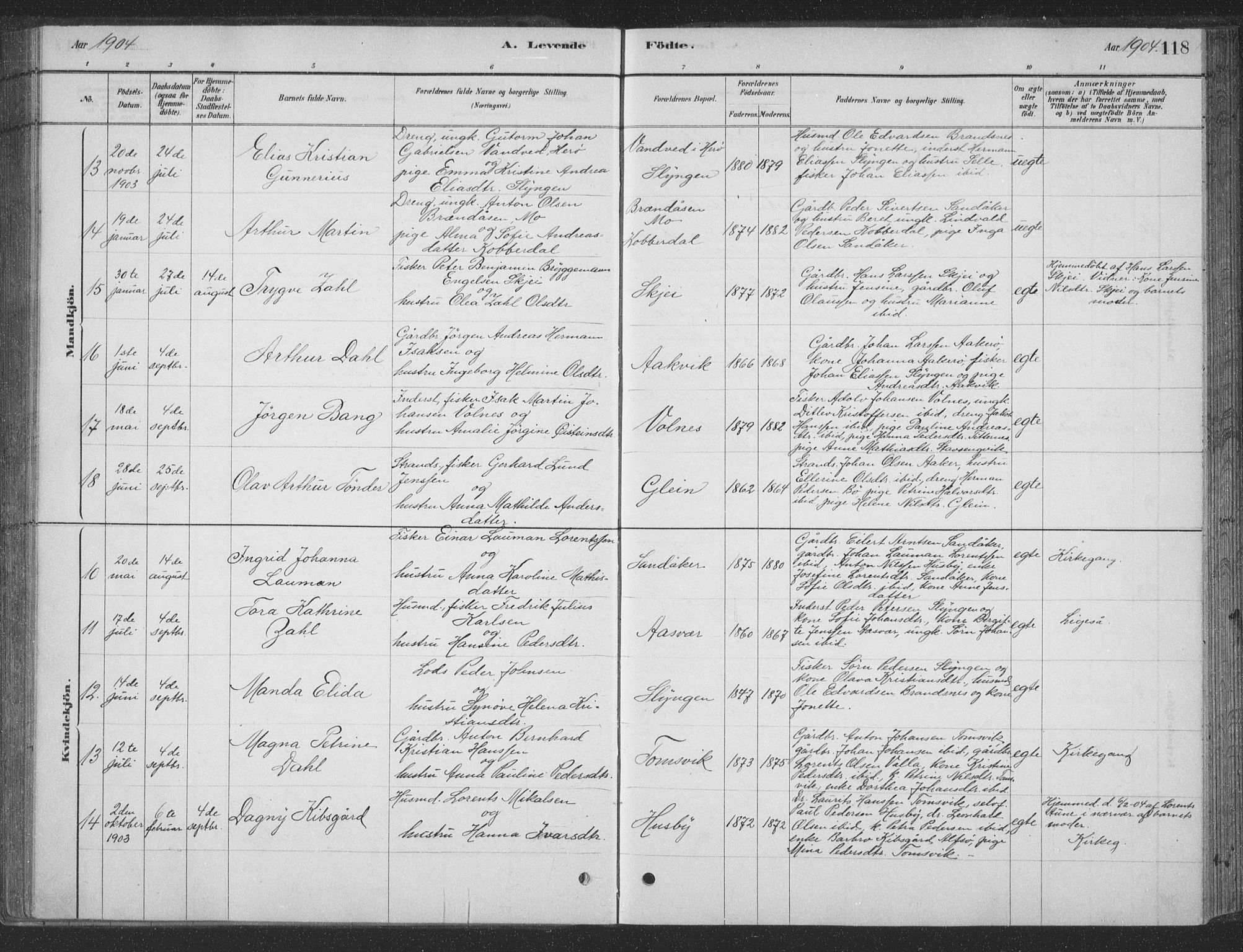 Ministerialprotokoller, klokkerbøker og fødselsregistre - Nordland, AV/SAT-A-1459/835/L0532: Parish register (copy) no. 835C04, 1880-1905, p. 118