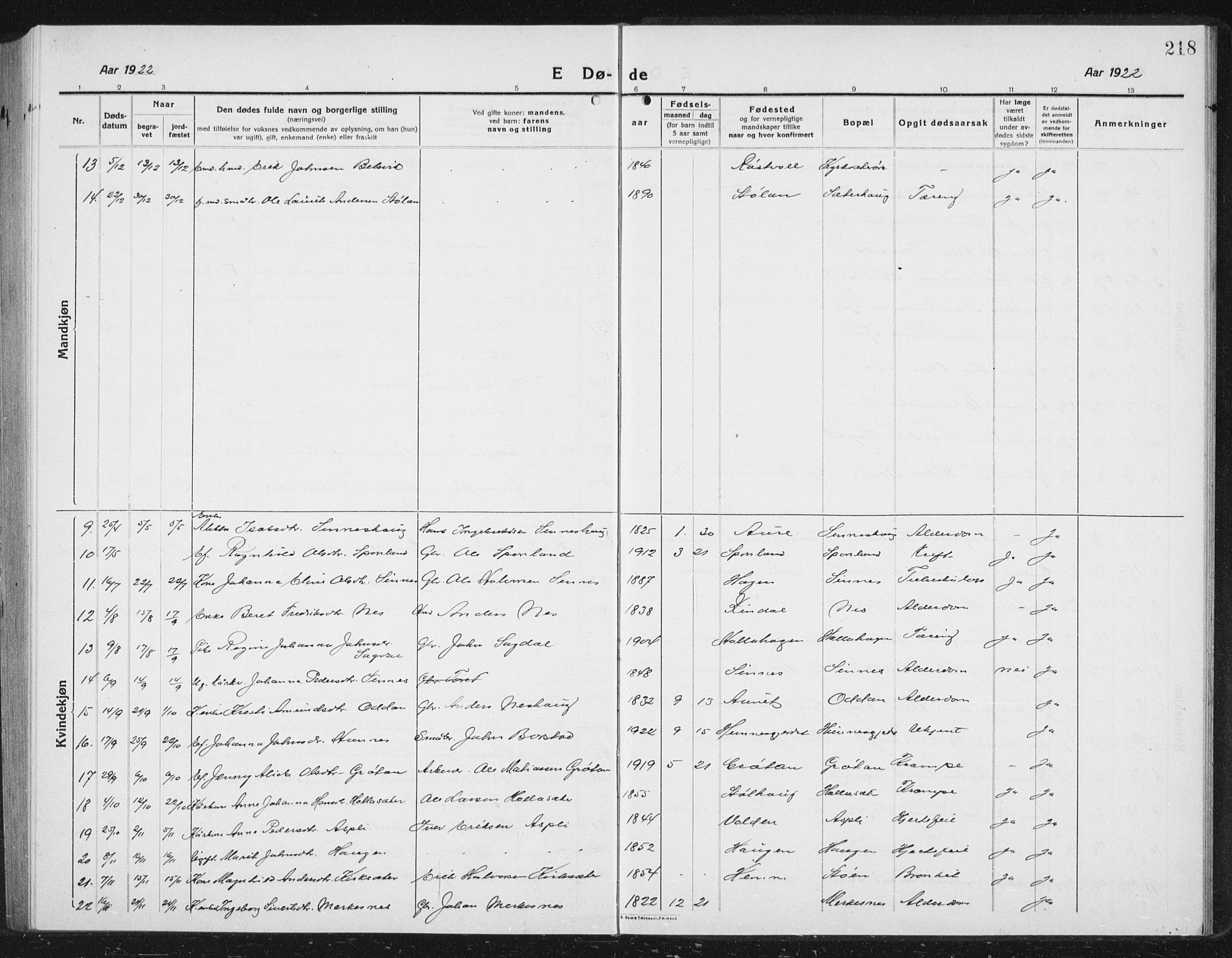 Ministerialprotokoller, klokkerbøker og fødselsregistre - Sør-Trøndelag, SAT/A-1456/630/L0506: Parish register (copy) no. 630C04, 1914-1933, p. 218