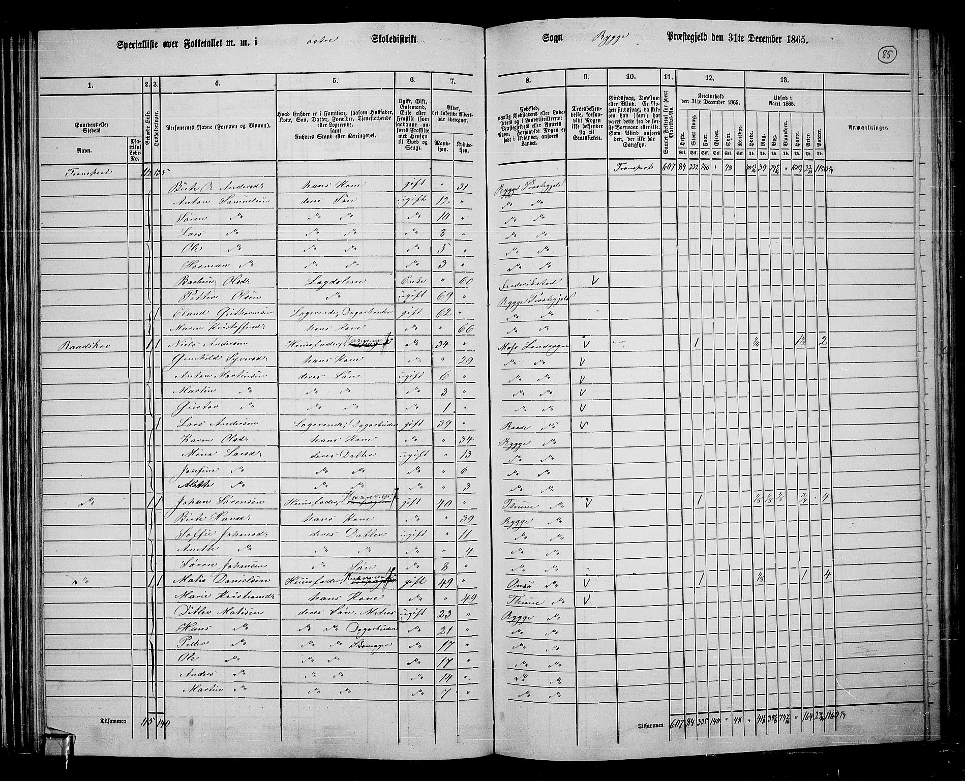 RA, 1865 census for Rygge, 1865, p. 28