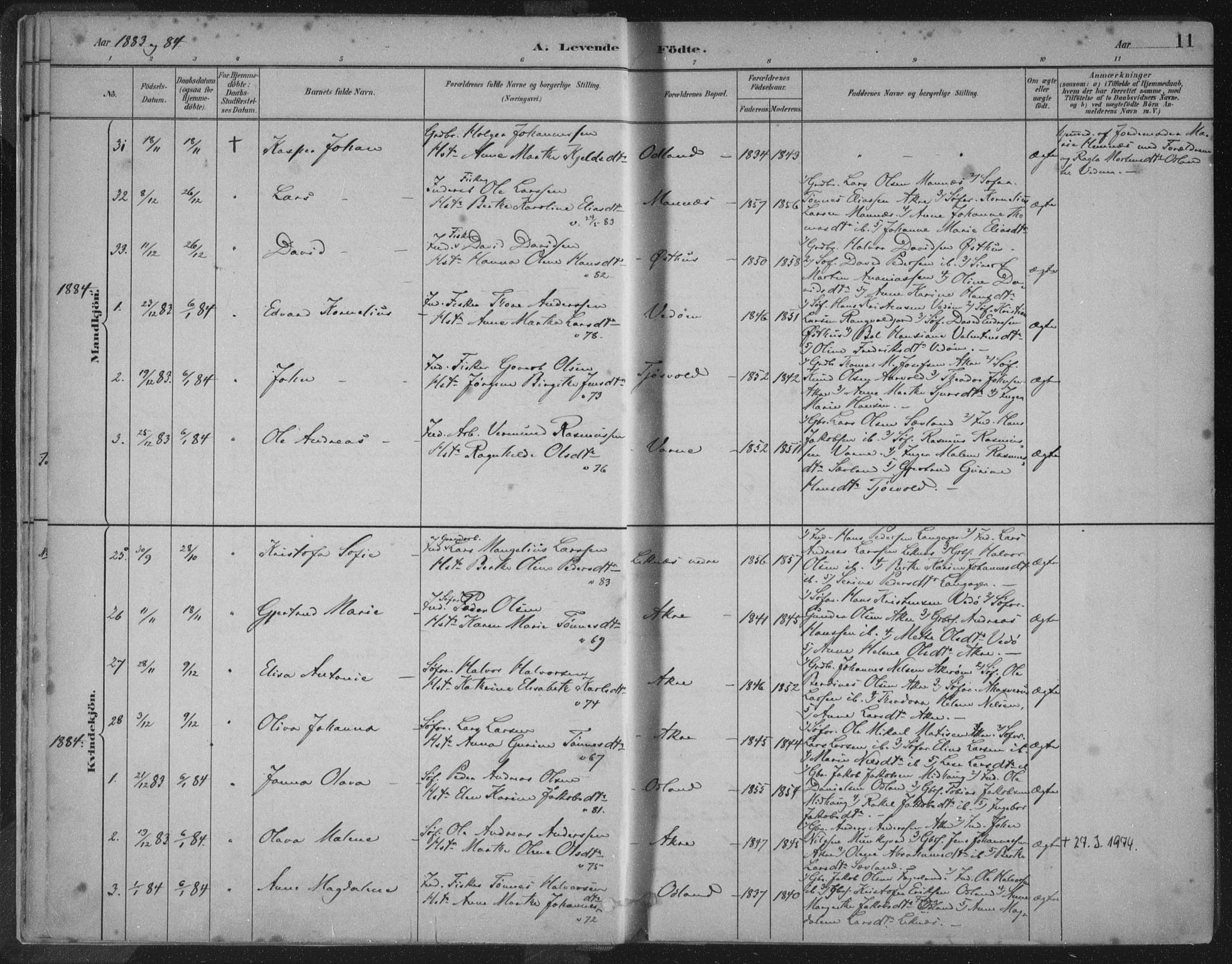 Kopervik sokneprestkontor, SAST/A-101850/H/Ha/Haa/L0004: Parish register (official) no. A 4, 1882-1905, p. 11