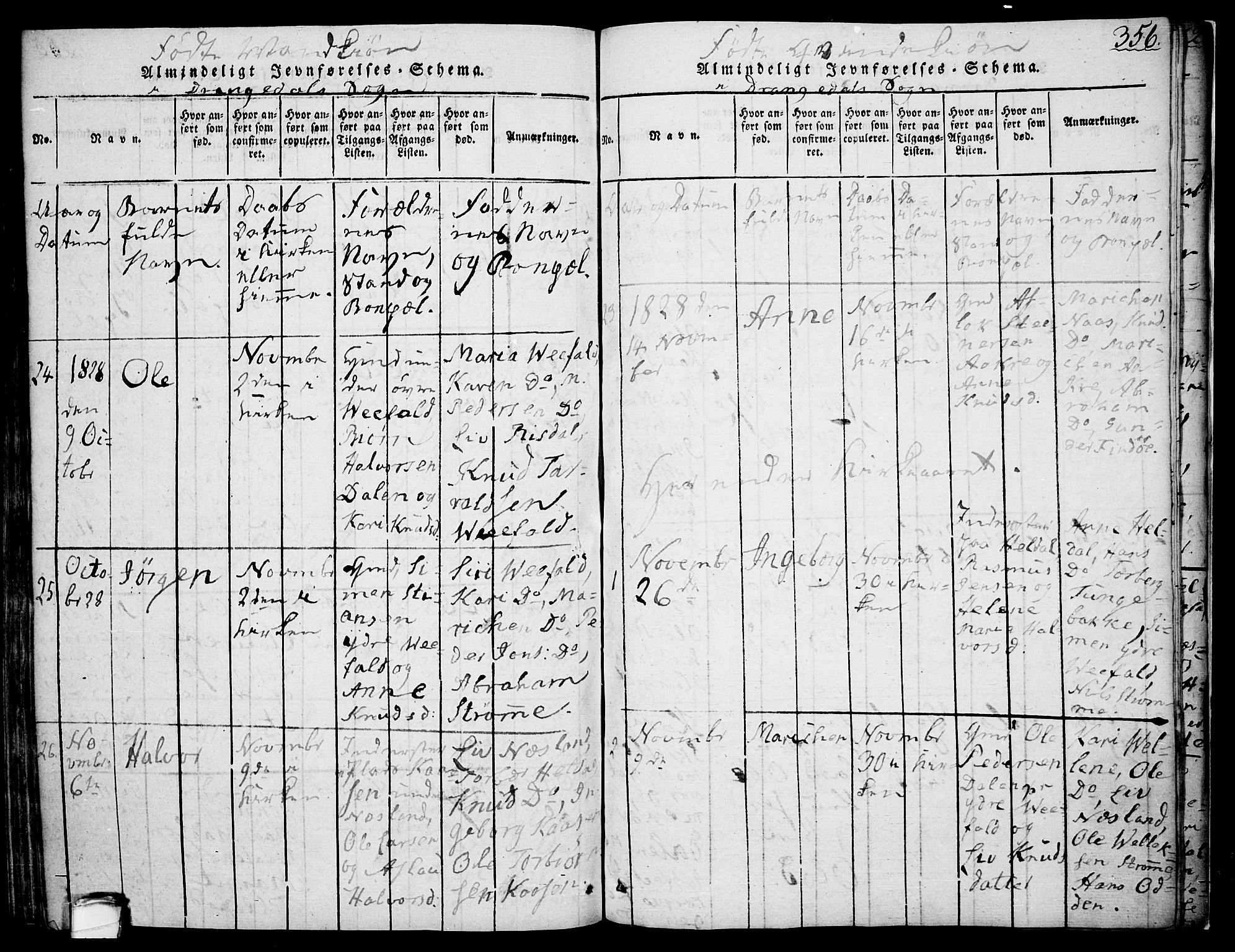 Drangedal kirkebøker, AV/SAKO-A-258/F/Fa/L0005: Parish register (official) no. 5 /1, 1814-1831, p. 356