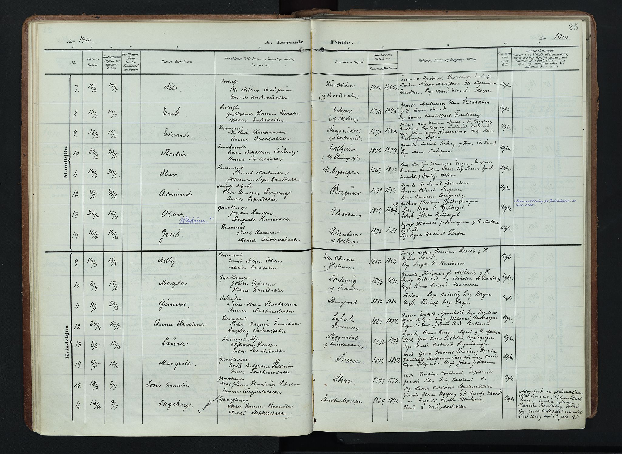 Søndre Land prestekontor, AV/SAH-PREST-122/K/L0005: Parish register (official) no. 5, 1905-1914, p. 25