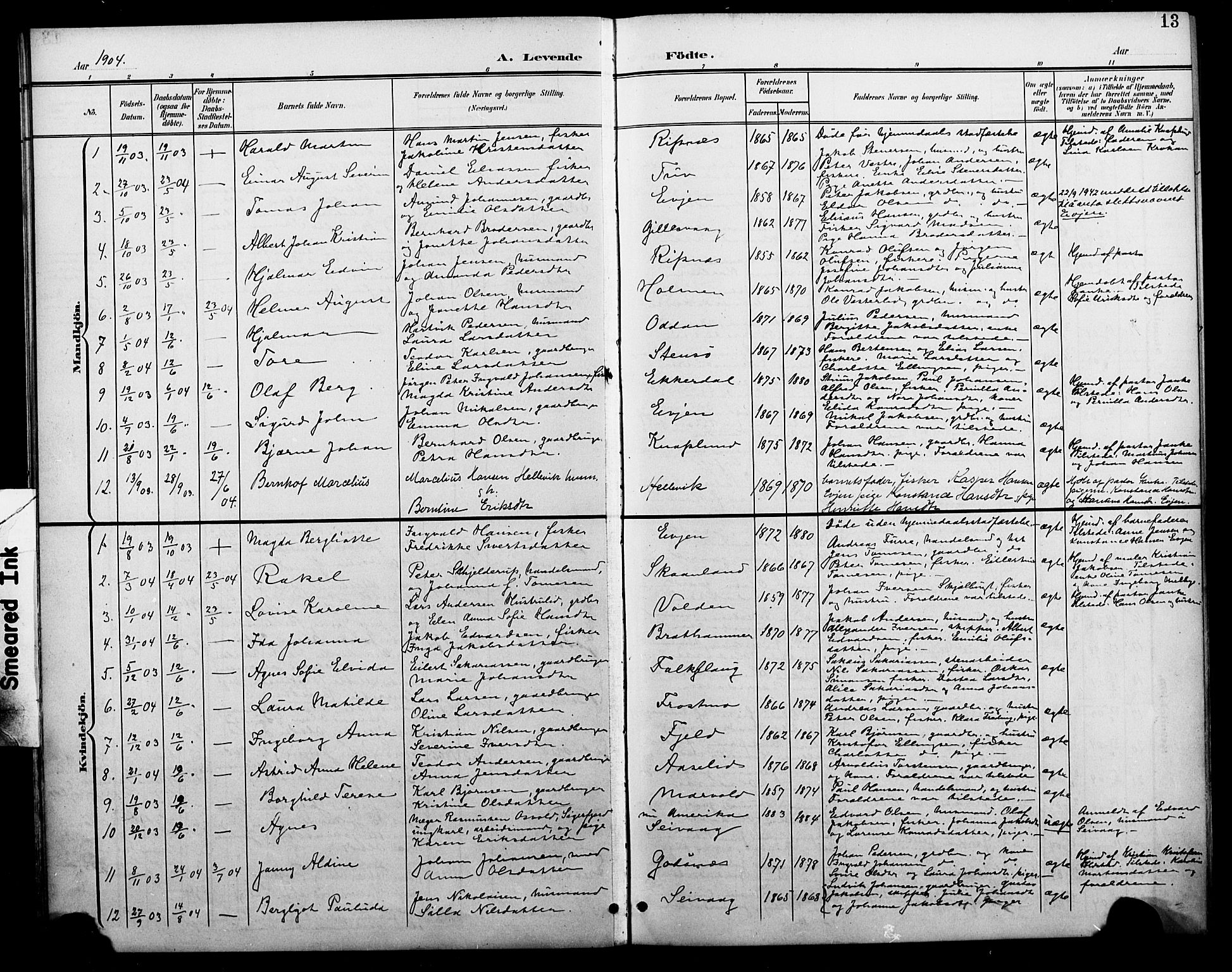 Ministerialprotokoller, klokkerbøker og fødselsregistre - Nordland, SAT/A-1459/804/L0088: Parish register (copy) no. 804C01, 1901-1917, p. 13