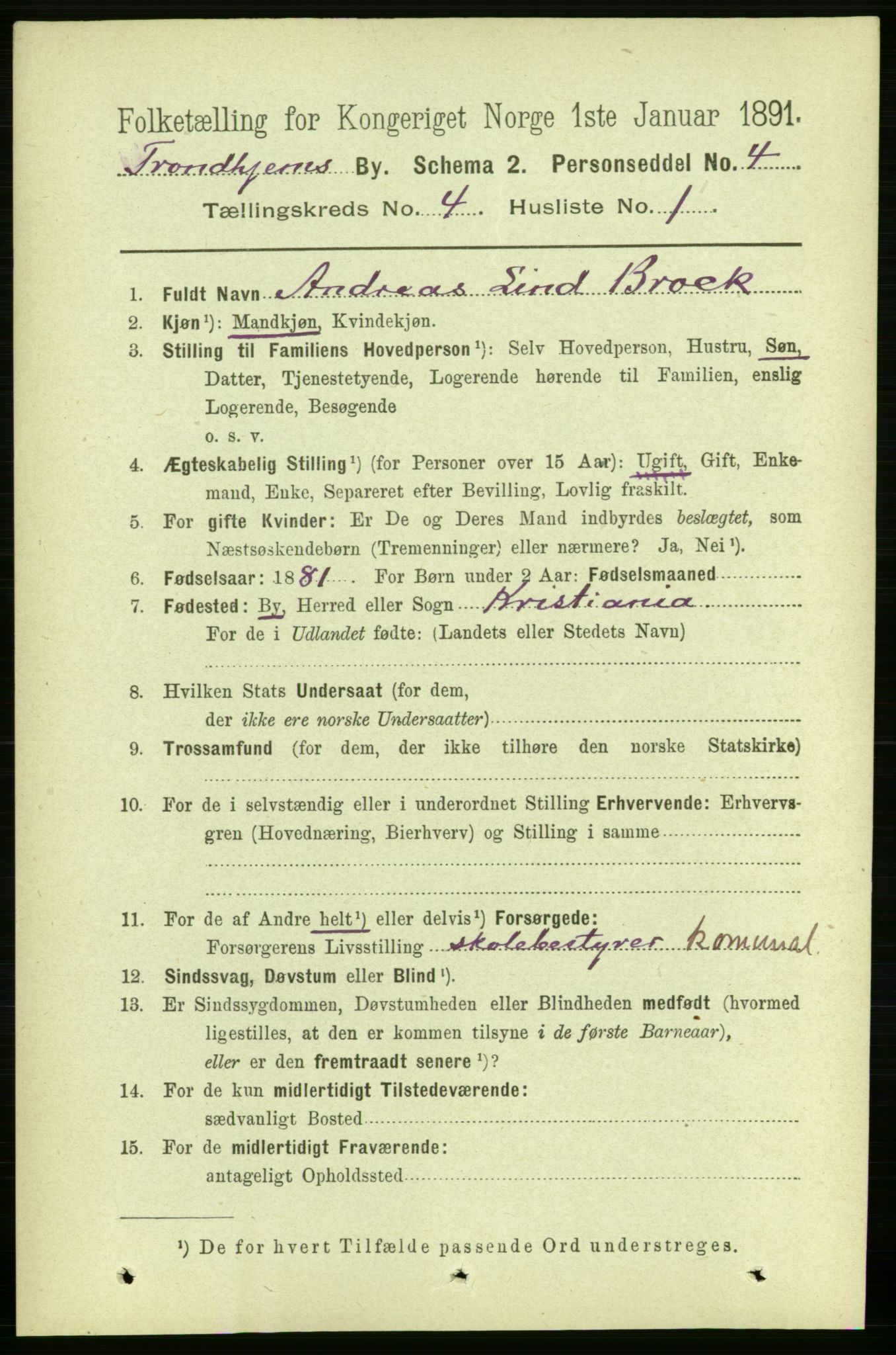 RA, 1891 census for 1601 Trondheim, 1891, p. 4388
