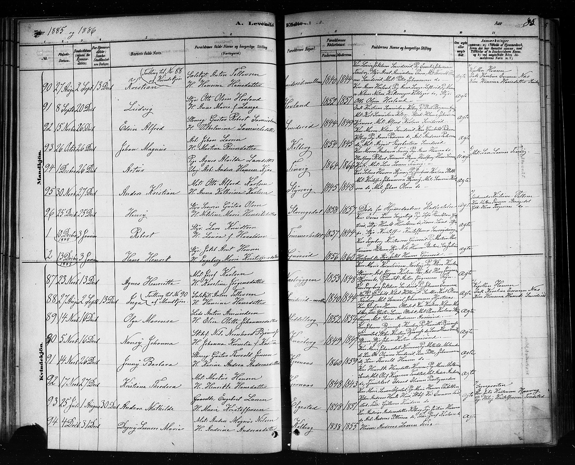 Nøtterøy kirkebøker, AV/SAKO-A-354/F/Fa/L0008: Parish register (official) no. I 8, 1878-1893, p. 85