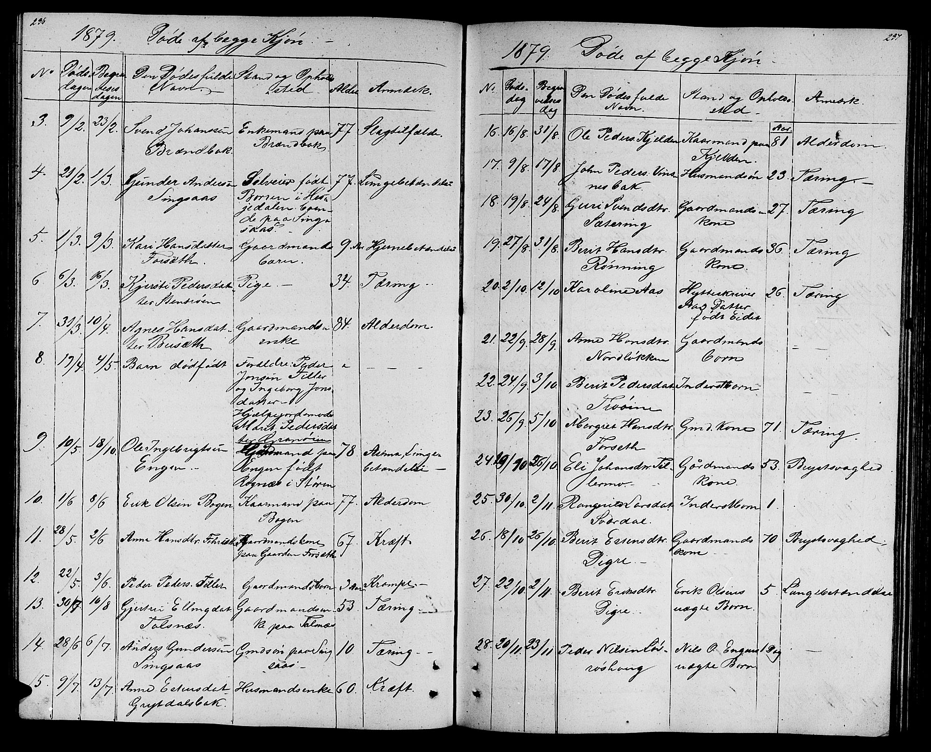 Ministerialprotokoller, klokkerbøker og fødselsregistre - Sør-Trøndelag, AV/SAT-A-1456/688/L1027: Parish register (copy) no. 688C02, 1861-1889, p. 236-237