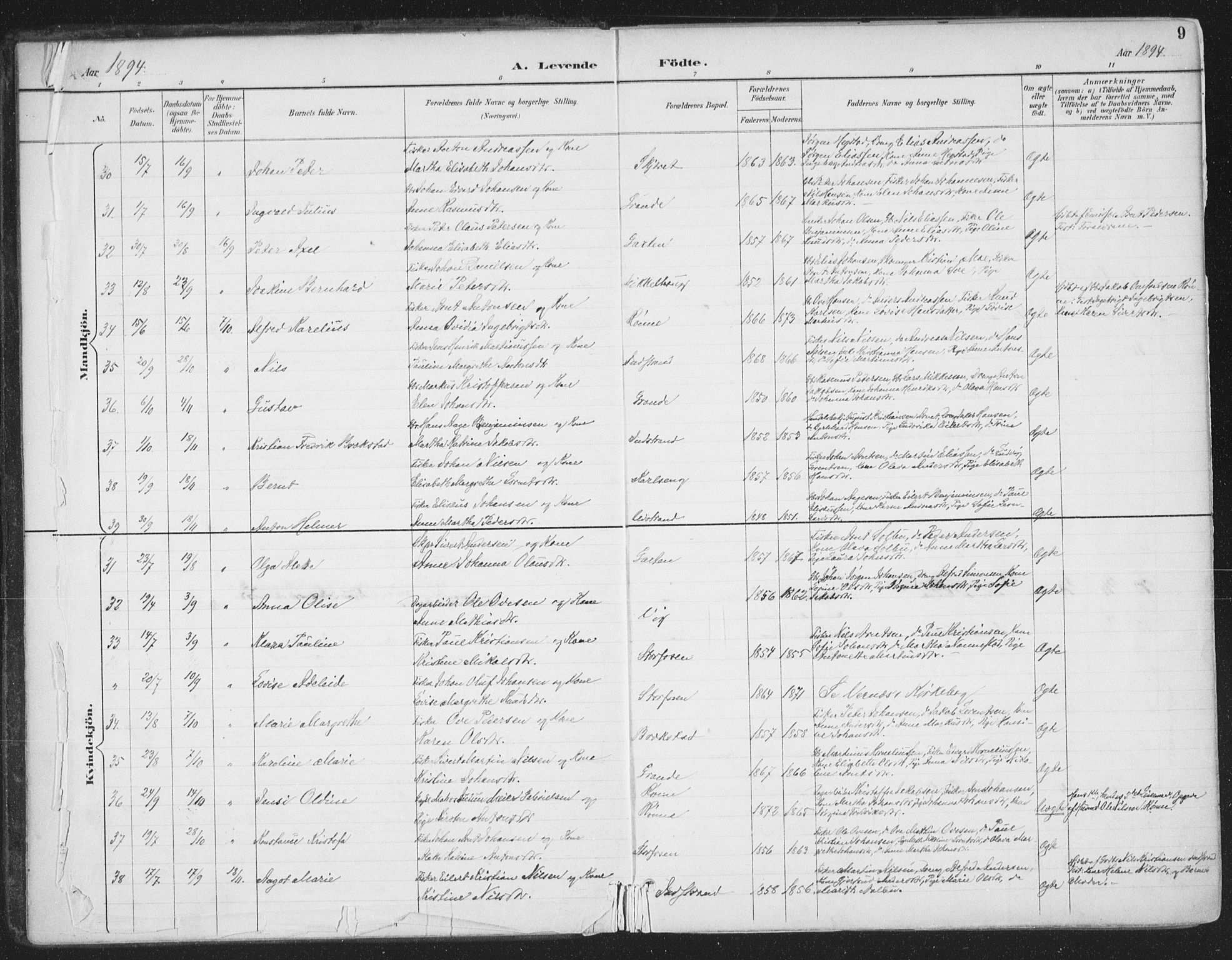 Ministerialprotokoller, klokkerbøker og fødselsregistre - Sør-Trøndelag, AV/SAT-A-1456/659/L0743: Parish register (official) no. 659A13, 1893-1910, p. 9