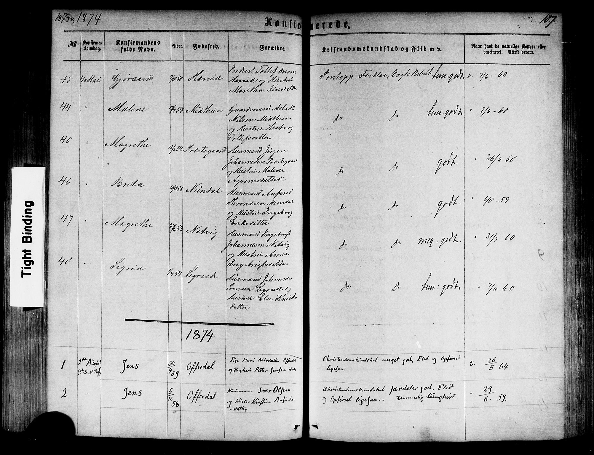 Årdal sokneprestembete, SAB/A-81701: Parish register (official) no. A 3, 1863-1886, p. 187