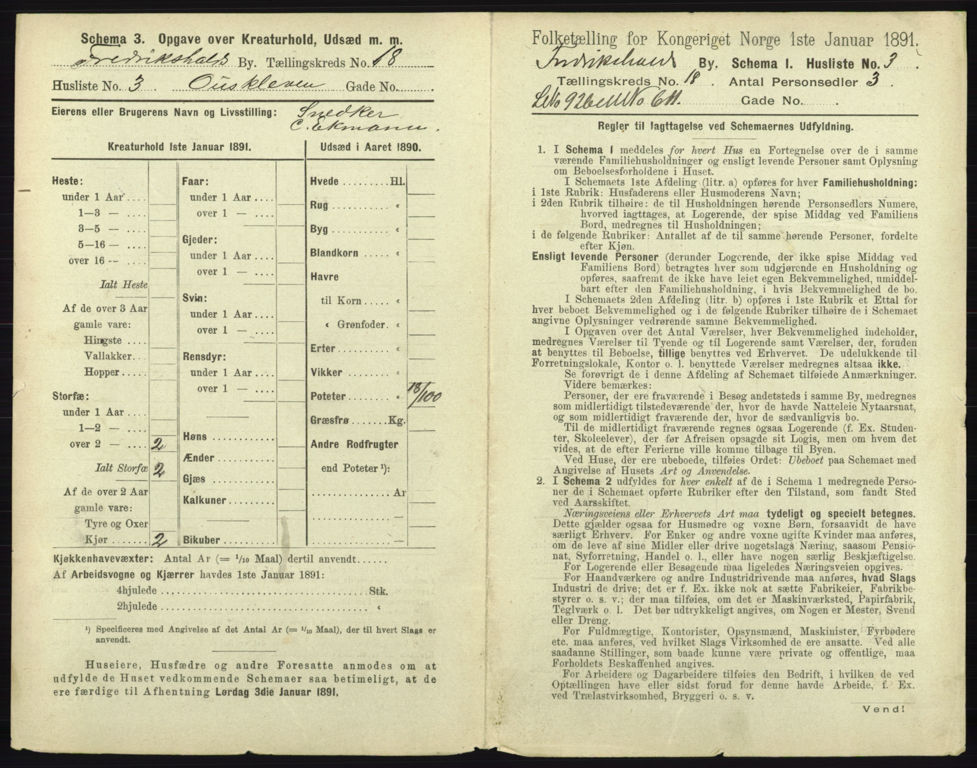 RA, 1891 census for 0101 Fredrikshald, 1891, p. 1598