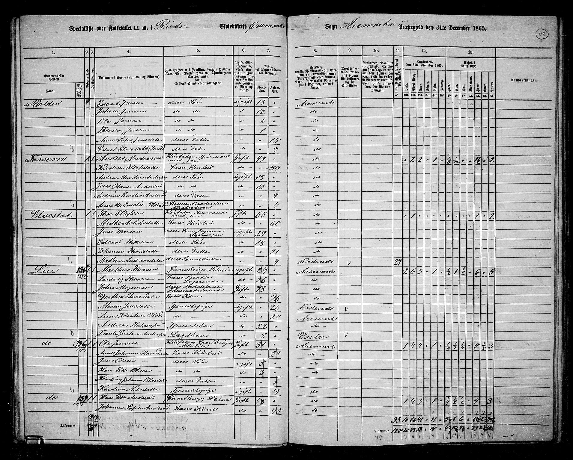 RA, 1865 census for Aremark, 1865, p. 101