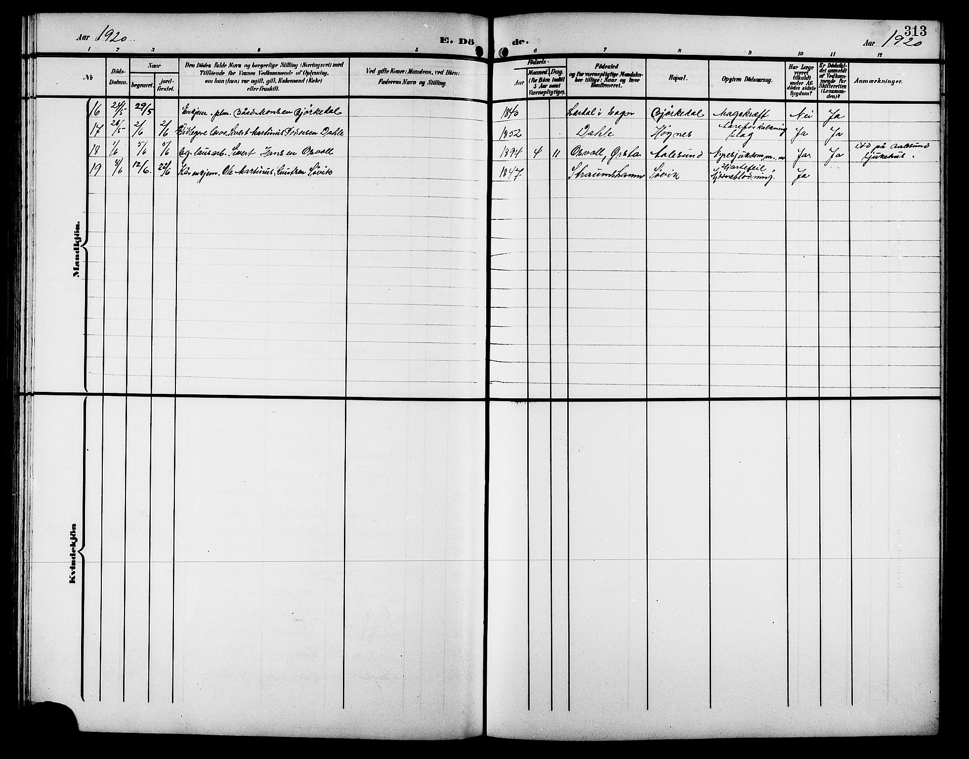 Ministerialprotokoller, klokkerbøker og fødselsregistre - Møre og Romsdal, SAT/A-1454/511/L0159: Parish register (copy) no. 511C05, 1902-1920, p. 313