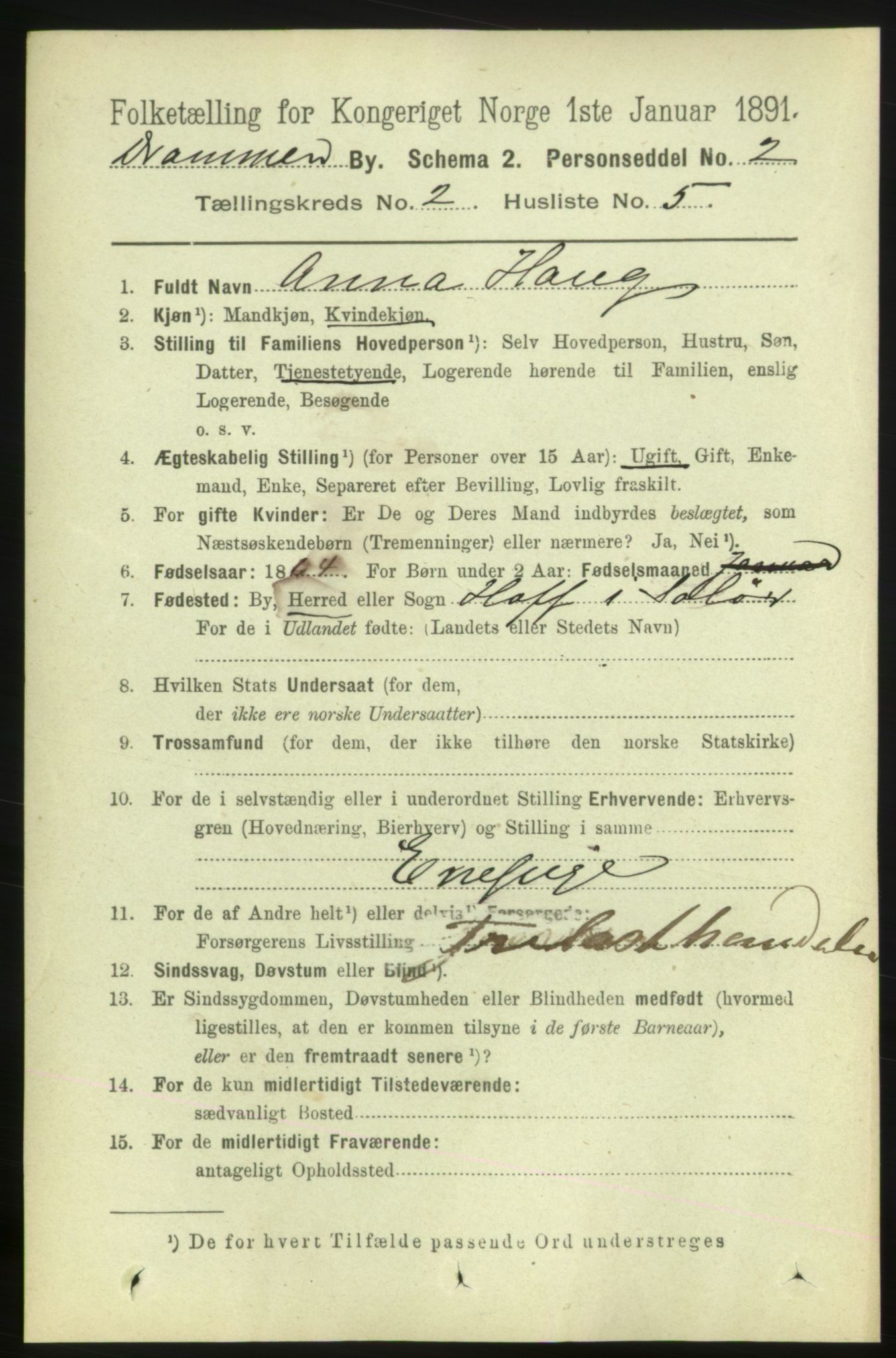 RA, 1891 census for 0602 Drammen, 1891, p. 4308