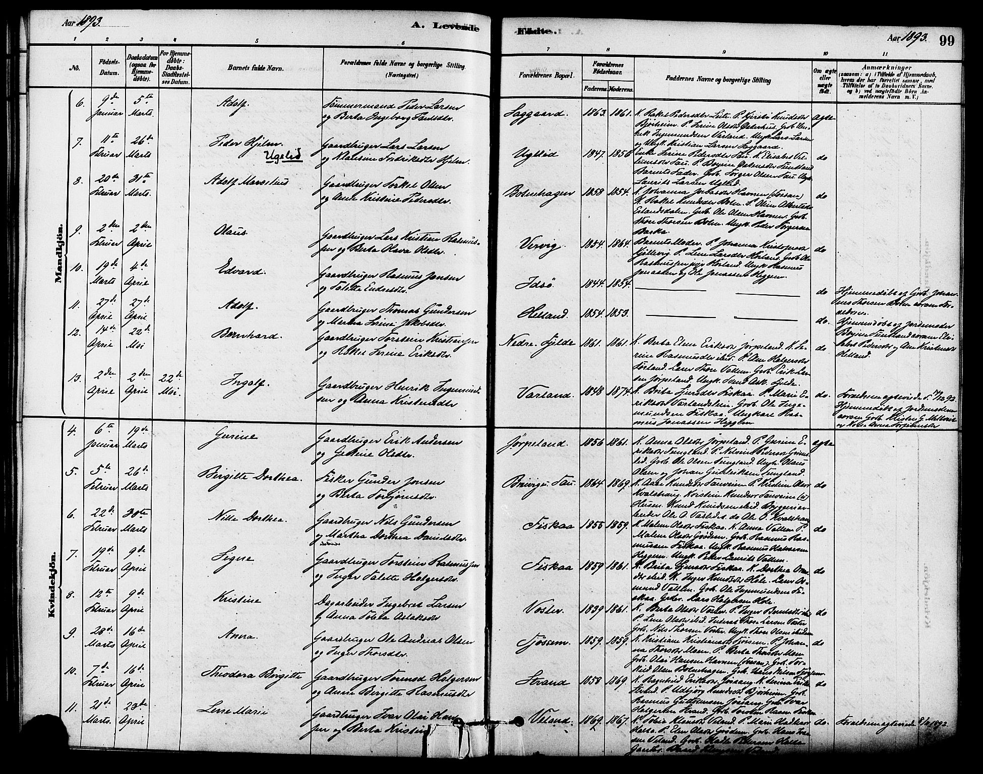 Strand sokneprestkontor, SAST/A-101828/H/Ha/Haa/L0009: Parish register (official) no. A 9, 1877-1908, p. 99