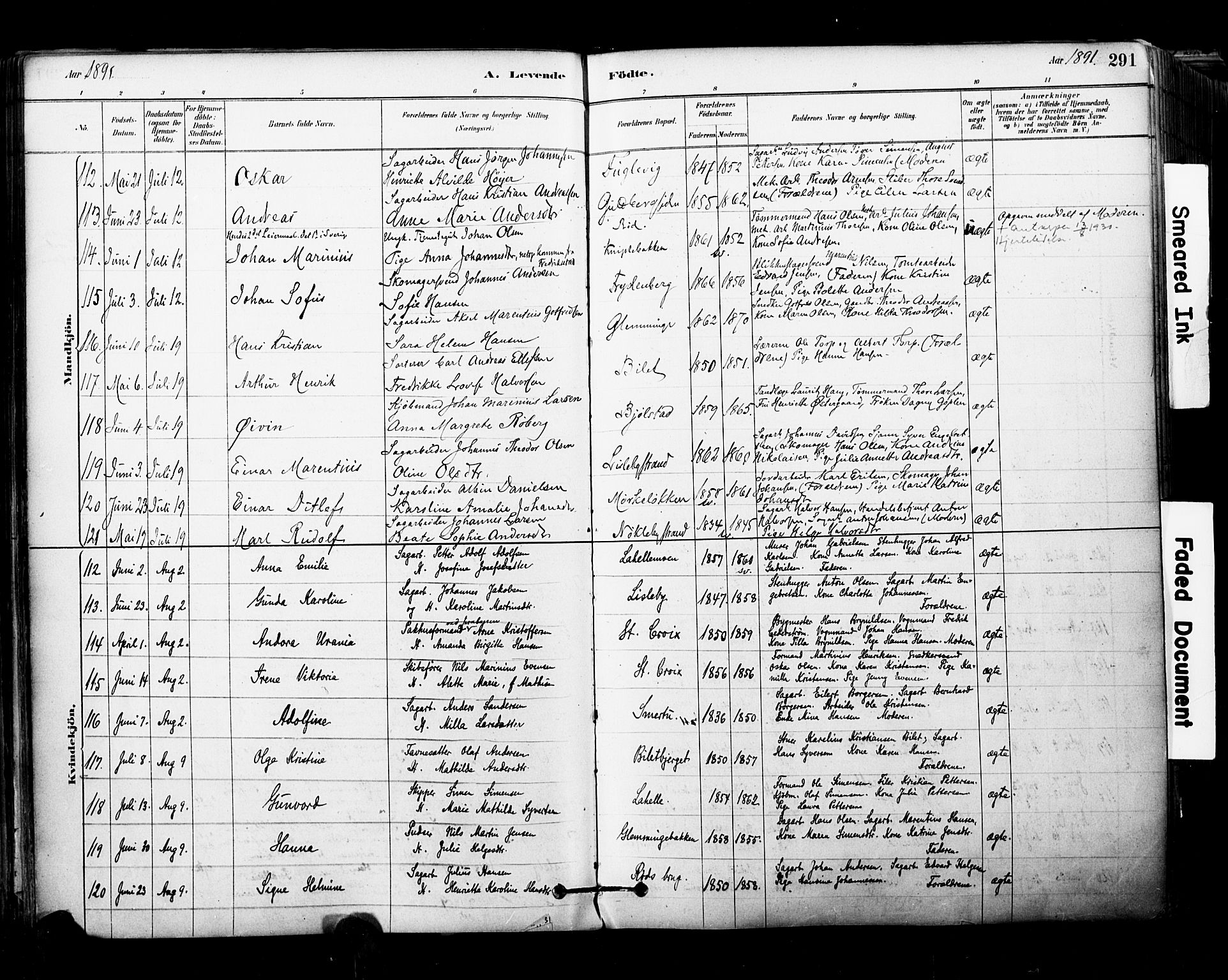 Glemmen prestekontor Kirkebøker, SAO/A-10908/F/Fa/L0011: Parish register (official) no. 11, 1878-1917, p. 291