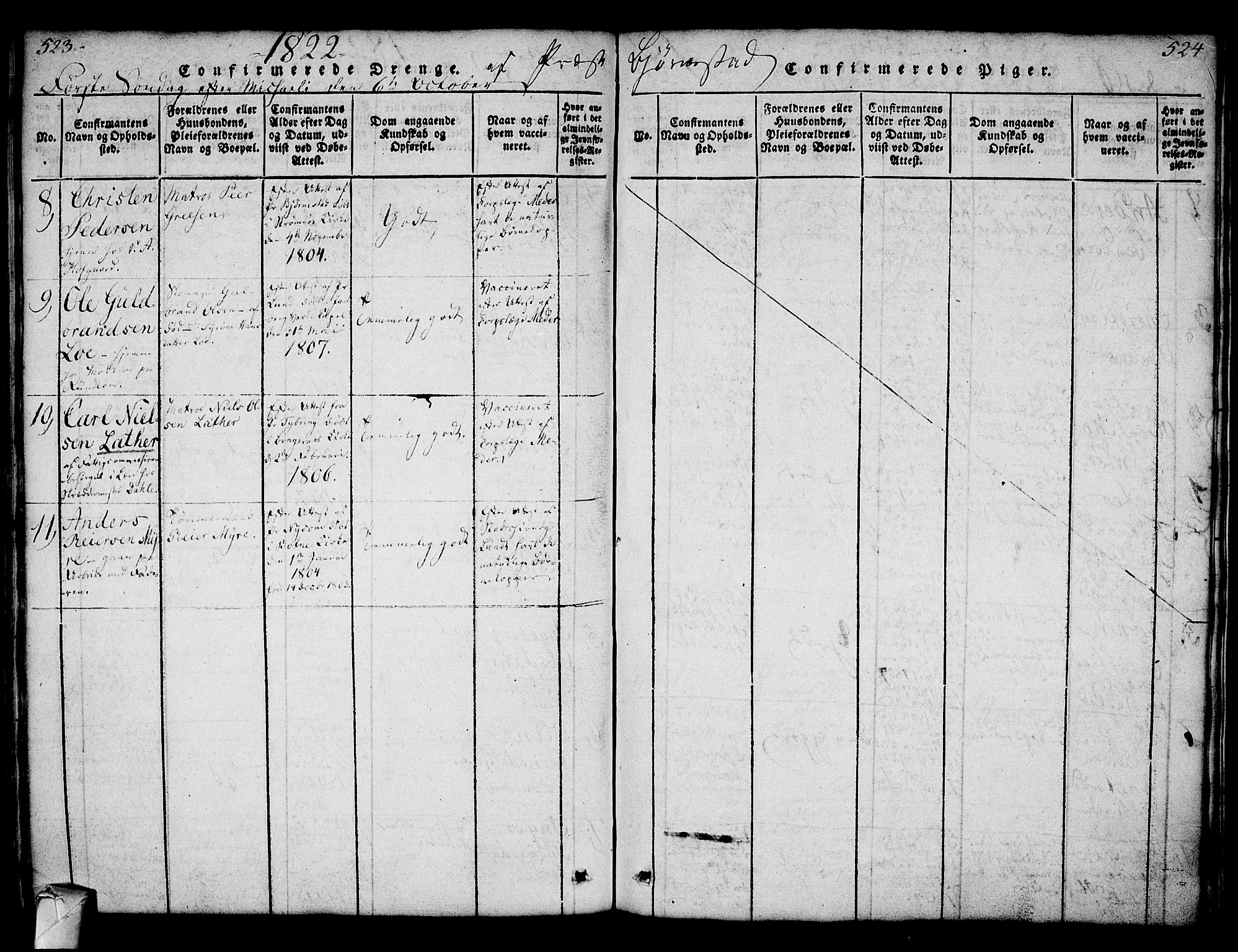 Strømsø kirkebøker, AV/SAKO-A-246/F/Fa/L0011: Parish register (official) no. I 11, 1815-1829, p. 523-524