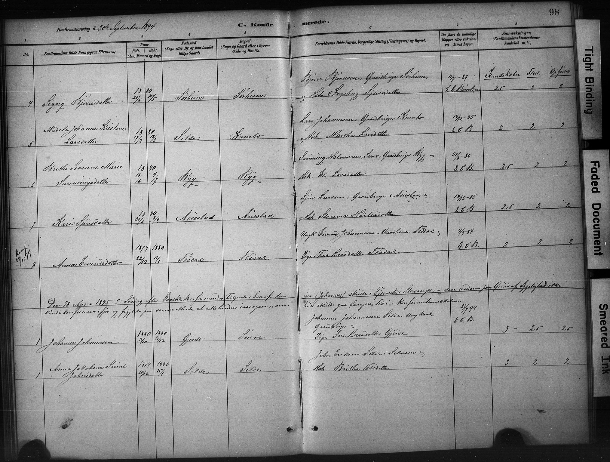 Etne sokneprestembete, SAB/A-75001/H/Hab: Parish register (copy) no. A 5, 1879-1896, p. 98