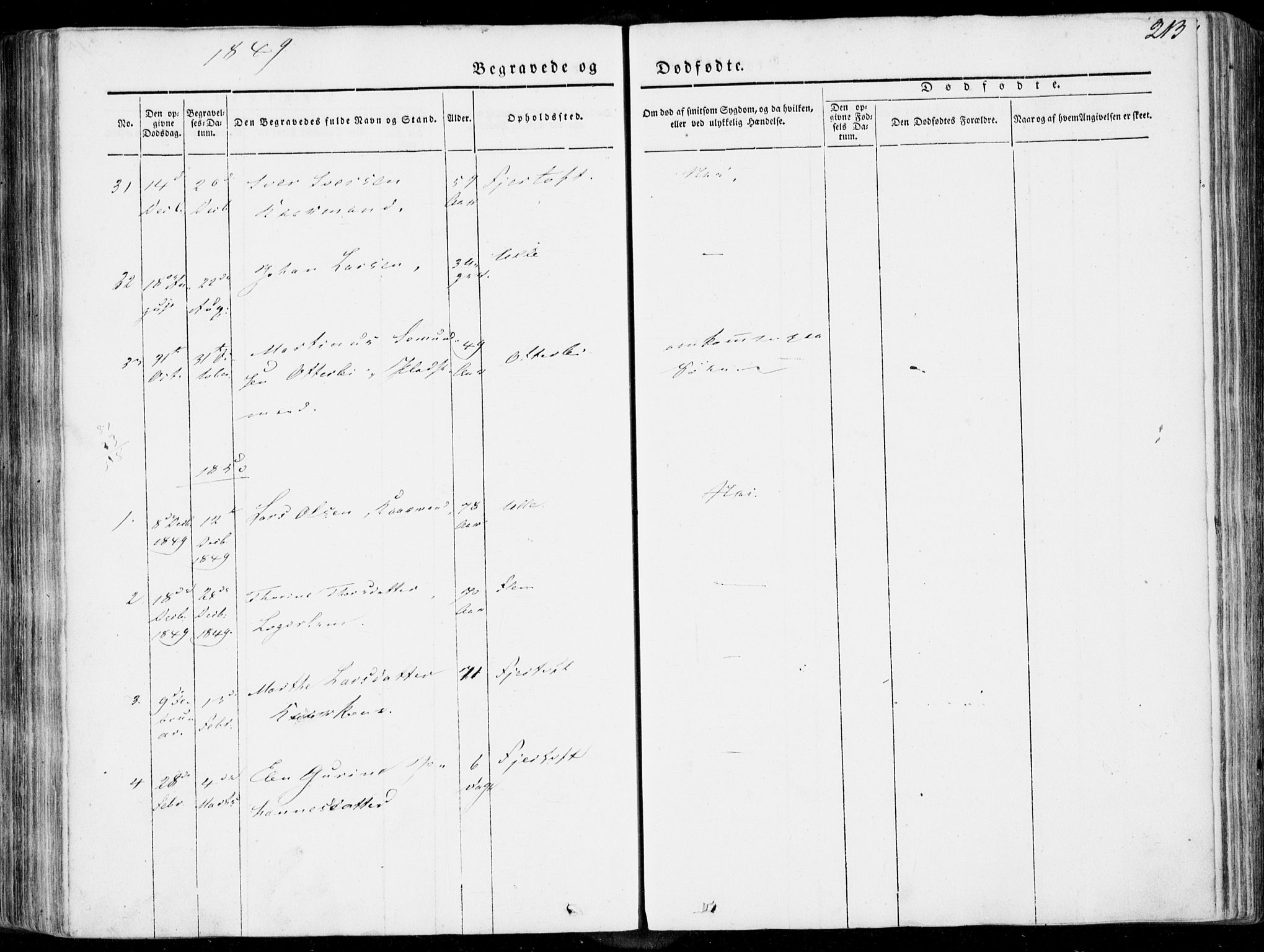 Ministerialprotokoller, klokkerbøker og fødselsregistre - Møre og Romsdal, SAT/A-1454/536/L0497: Parish register (official) no. 536A06, 1845-1865, p. 213