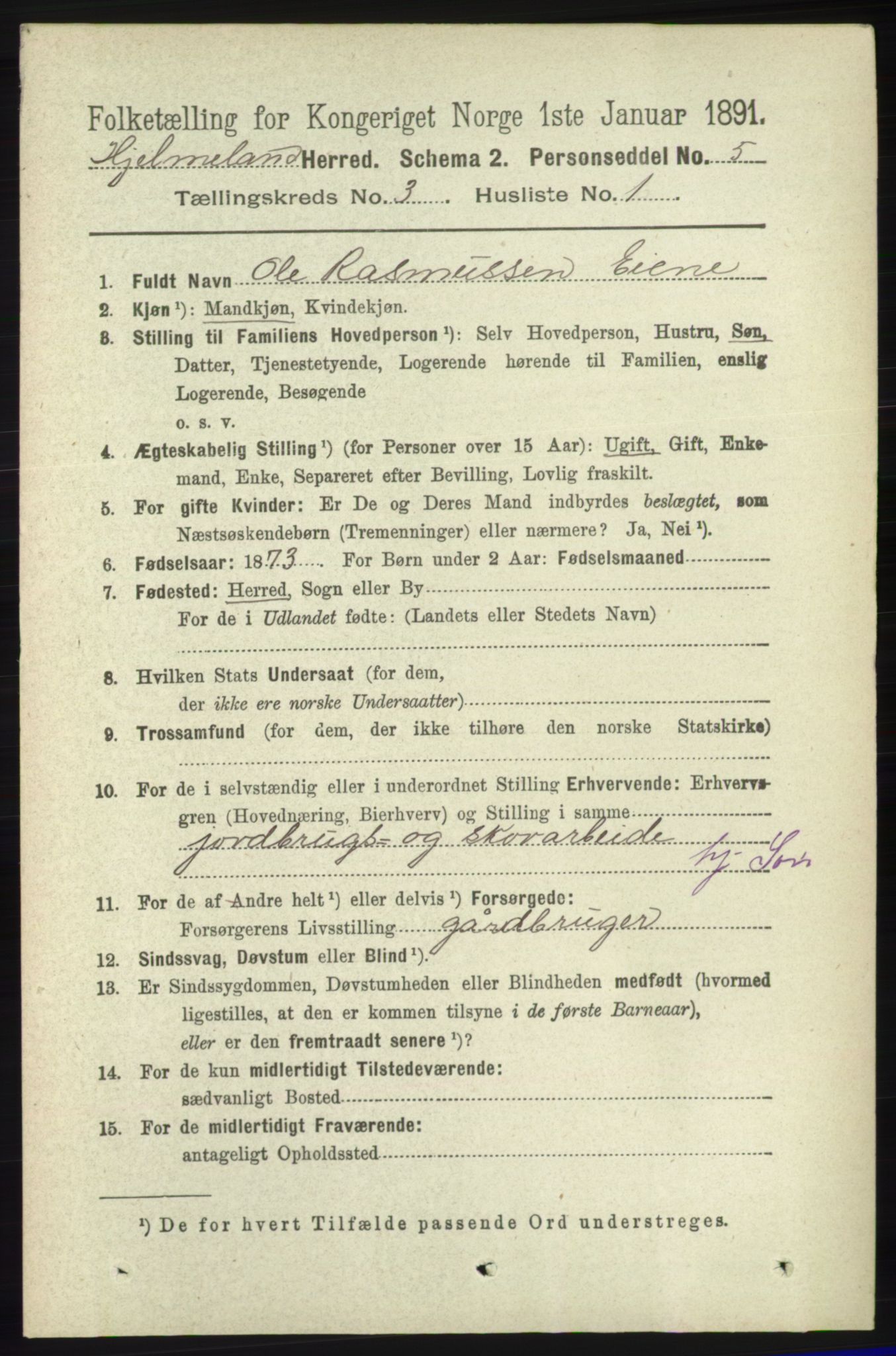 RA, 1891 census for 1133 Hjelmeland, 1891, p. 741