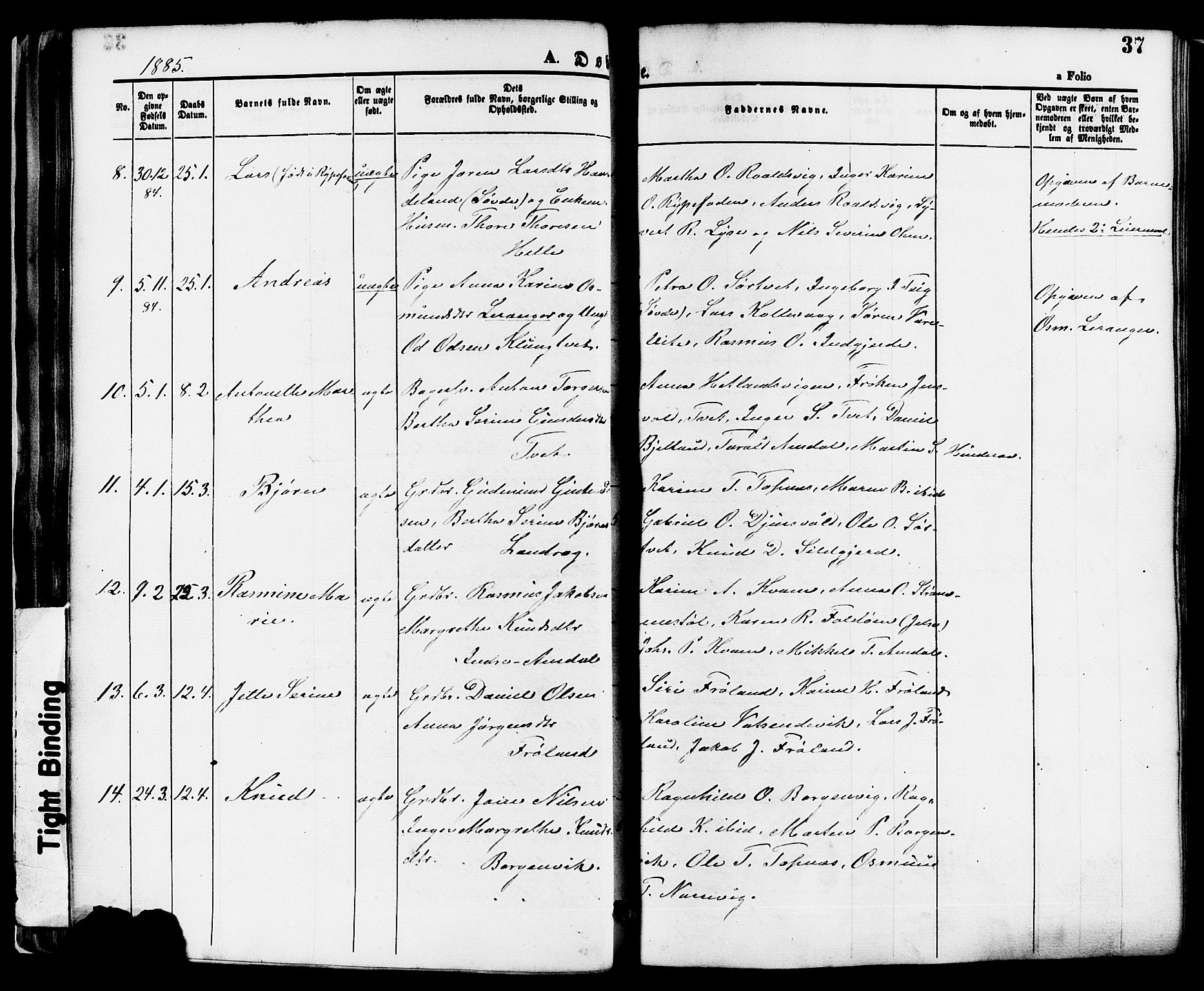 Nedstrand sokneprestkontor, SAST/A-101841/01/IV: Parish register (official) no. A 11, 1877-1887, p. 37