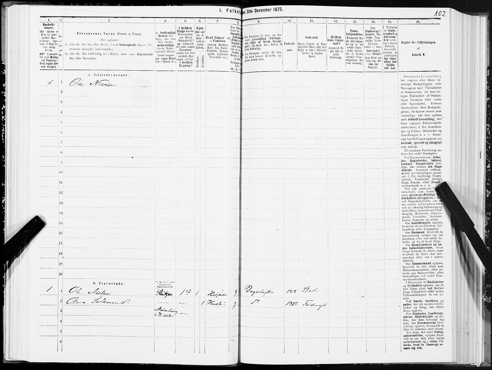 SAT, 1875 census for 1702B Steinkjer/Steinkjer, 1875, p. 102