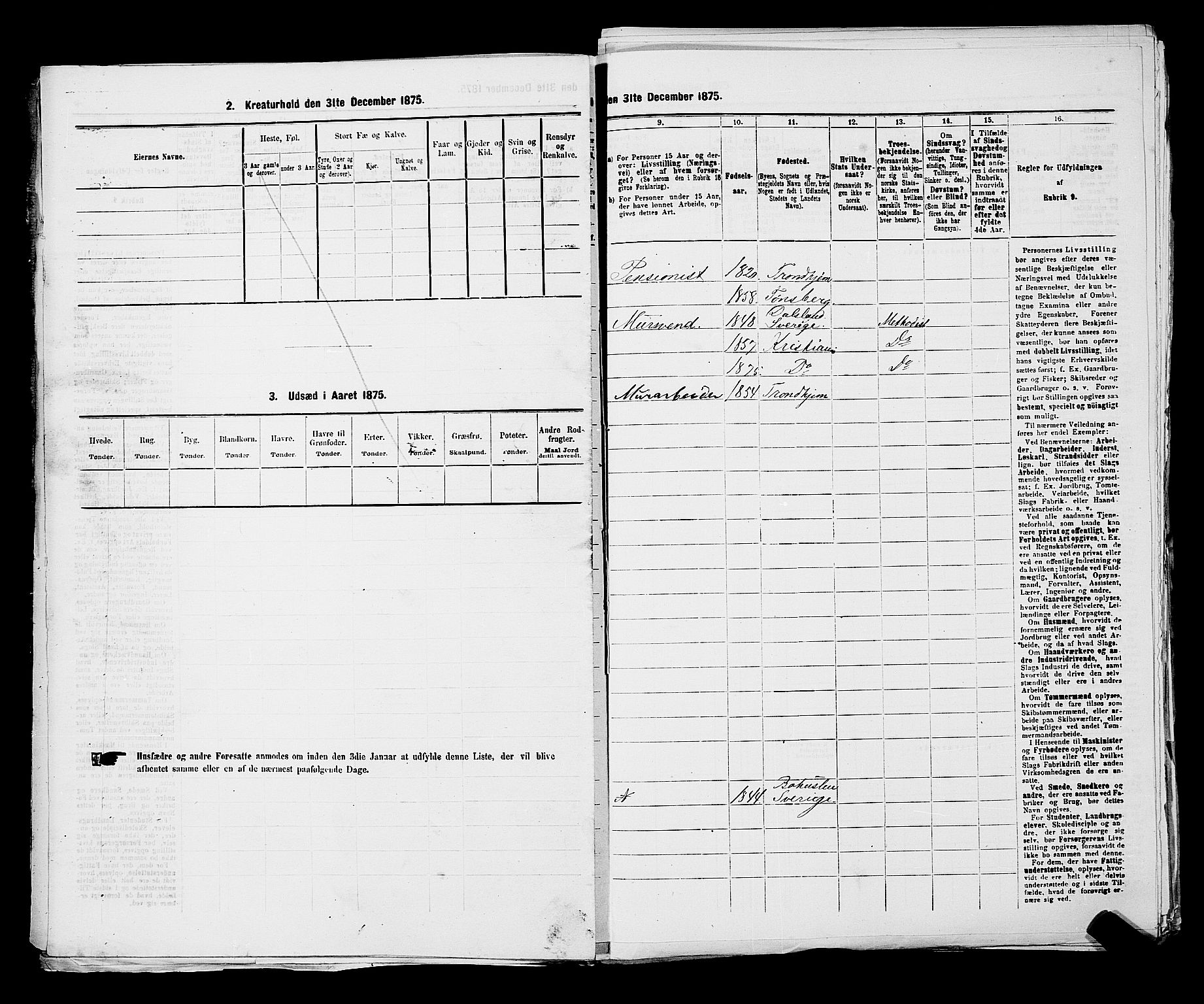 RA, 1875 census for 0301 Kristiania, 1875, p. 3738