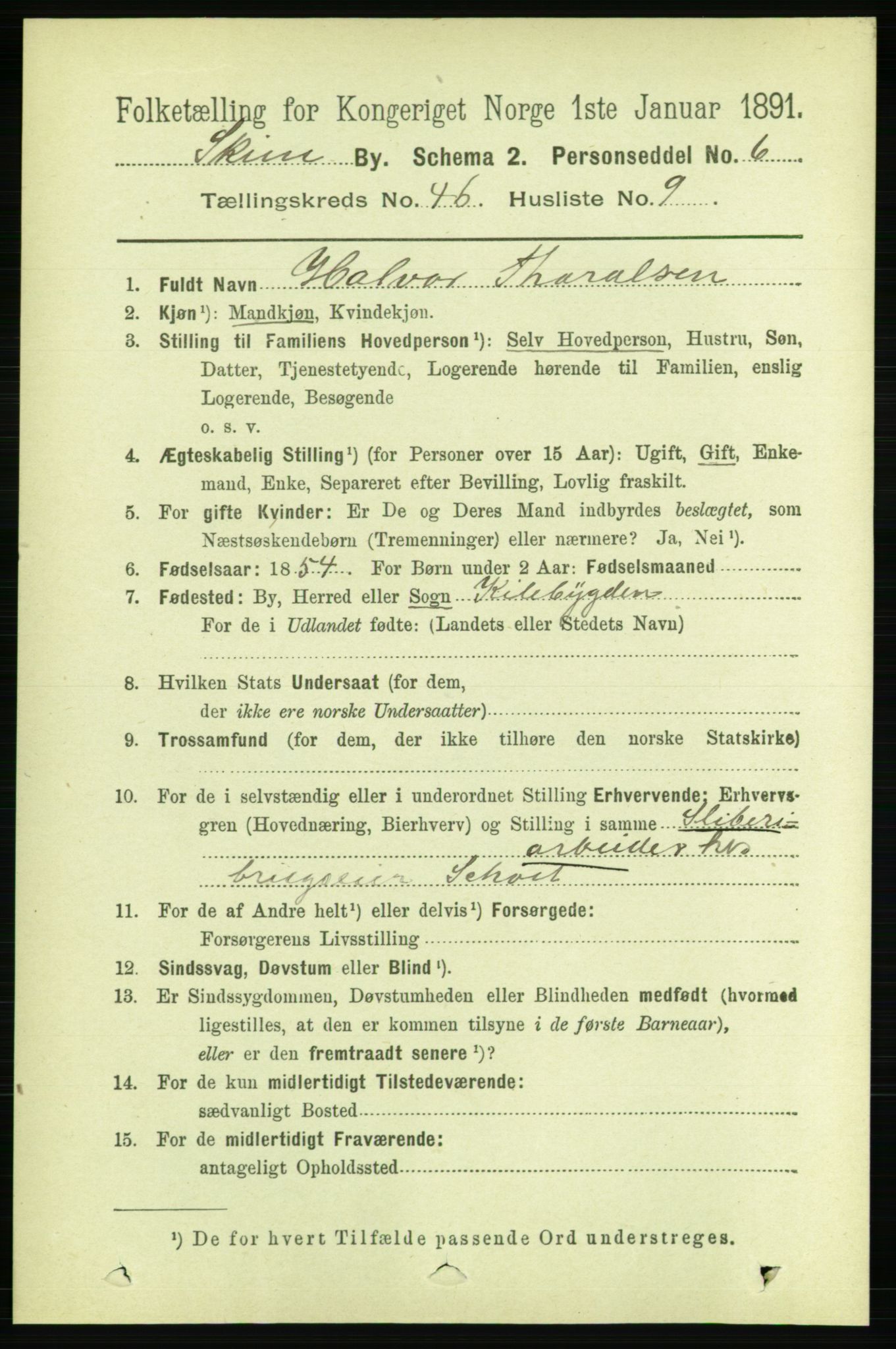 RA, 1891 census for 0806 Skien, 1891, p. 9201