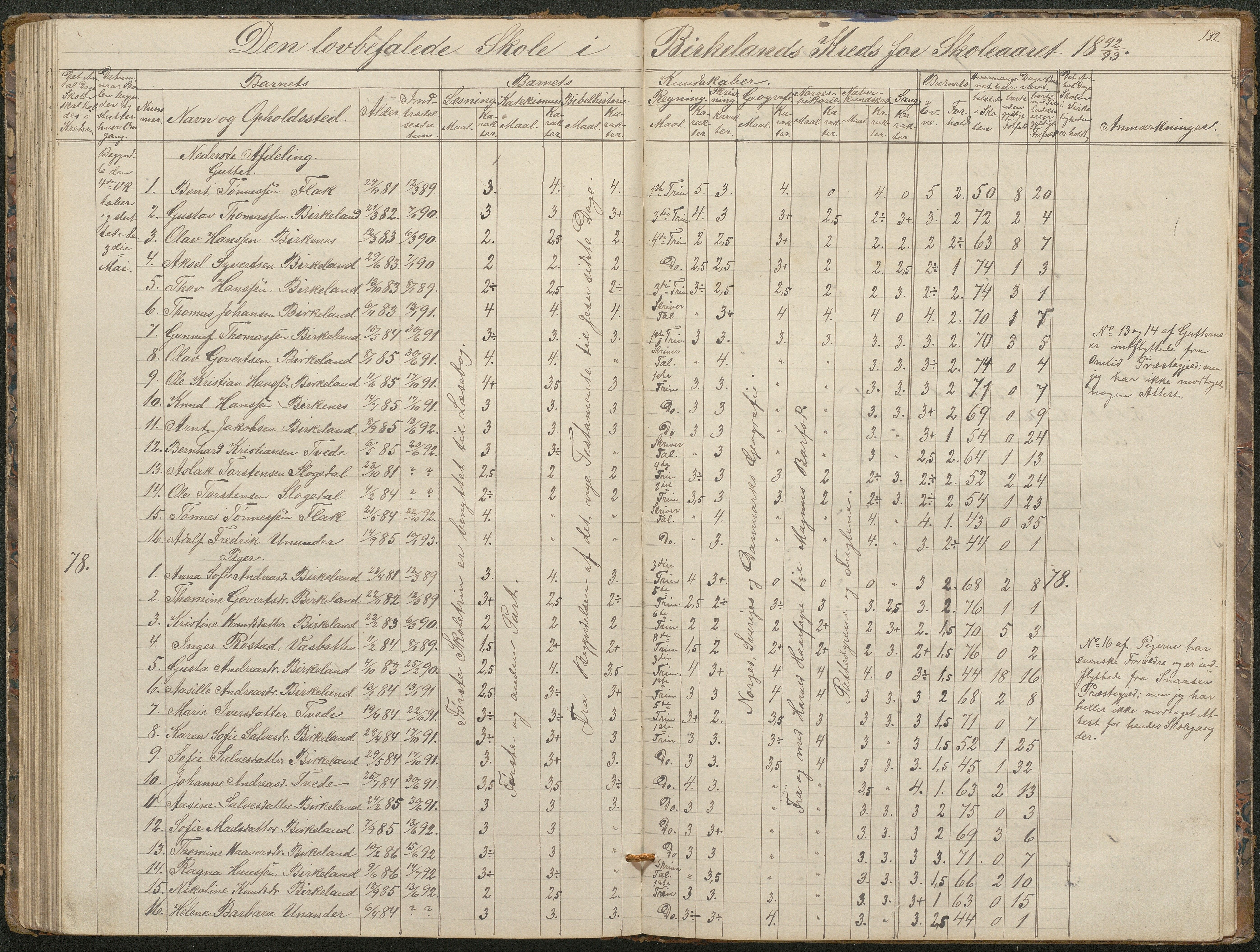 Birkenes kommune, Birkenes krets/Birkeland folkeskole frem til 1991, AAKS/KA0928-550a_91/F02/L0001: Skoleprotokoll, 1862-1896, p. 132