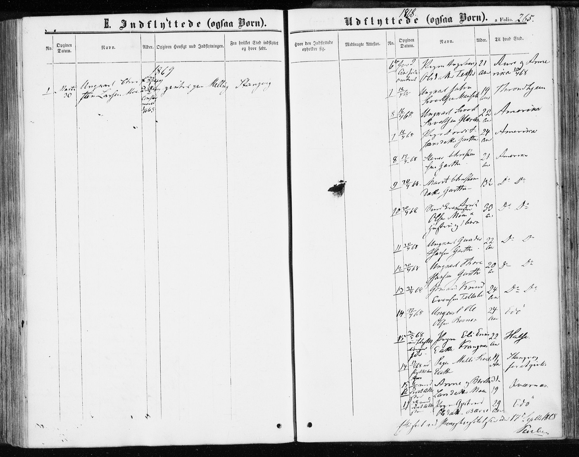 Ministerialprotokoller, klokkerbøker og fødselsregistre - Møre og Romsdal, AV/SAT-A-1454/595/L1045: Parish register (official) no. 595A07, 1863-1873, p. 265