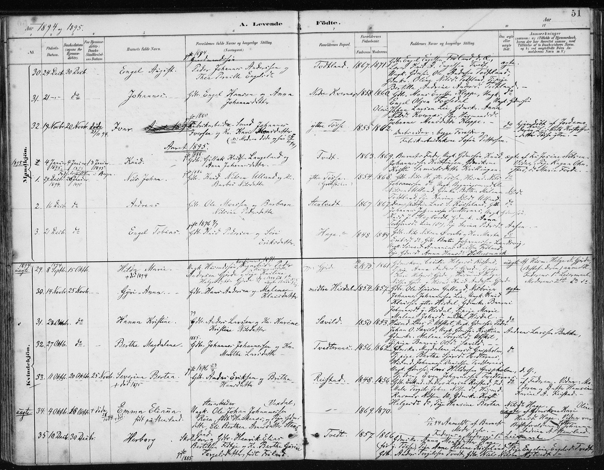 Samnanger Sokneprestembete, AV/SAB-A-77501/H/Haa: Parish register (official) no. A 1, 1885-1901, p. 51