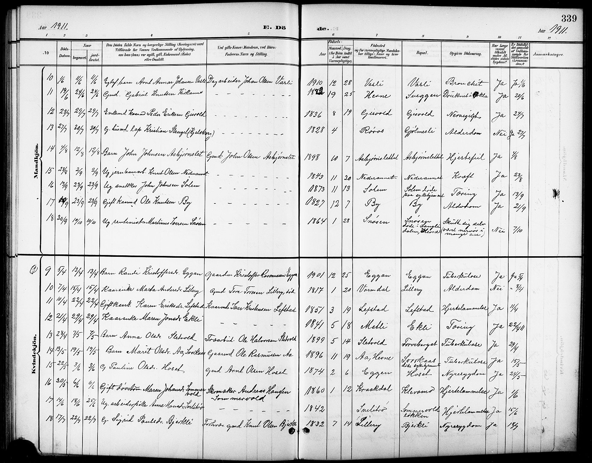 Ministerialprotokoller, klokkerbøker og fødselsregistre - Sør-Trøndelag, SAT/A-1456/668/L0819: Parish register (copy) no. 668C08, 1899-1912, p. 339