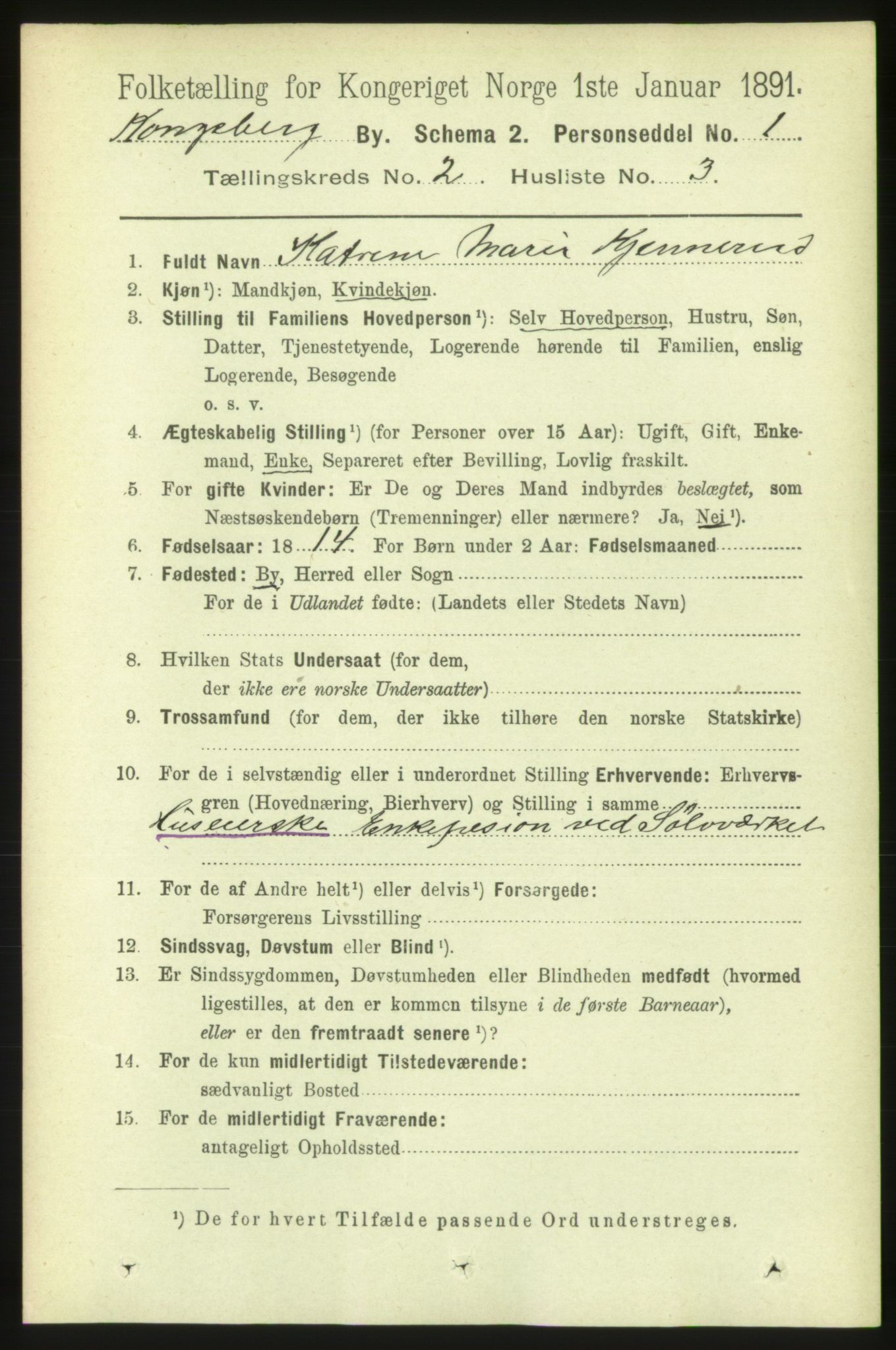 RA, 1891 census for 0604 Kongsberg, 1891, p. 2231
