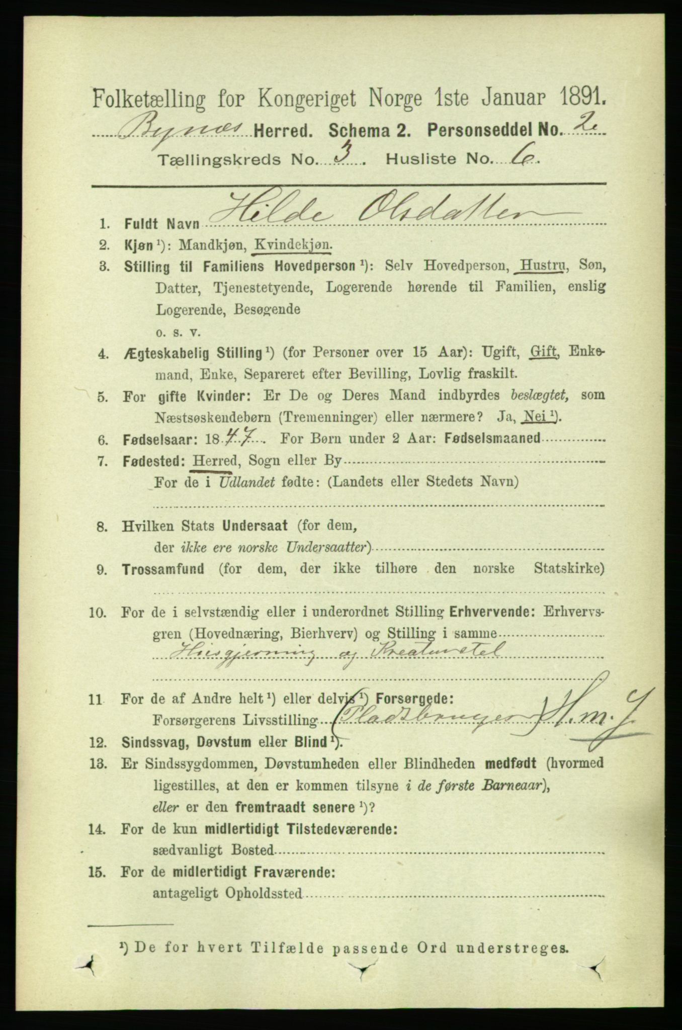 RA, 1891 census for 1655 Byneset, 1891, p. 1317