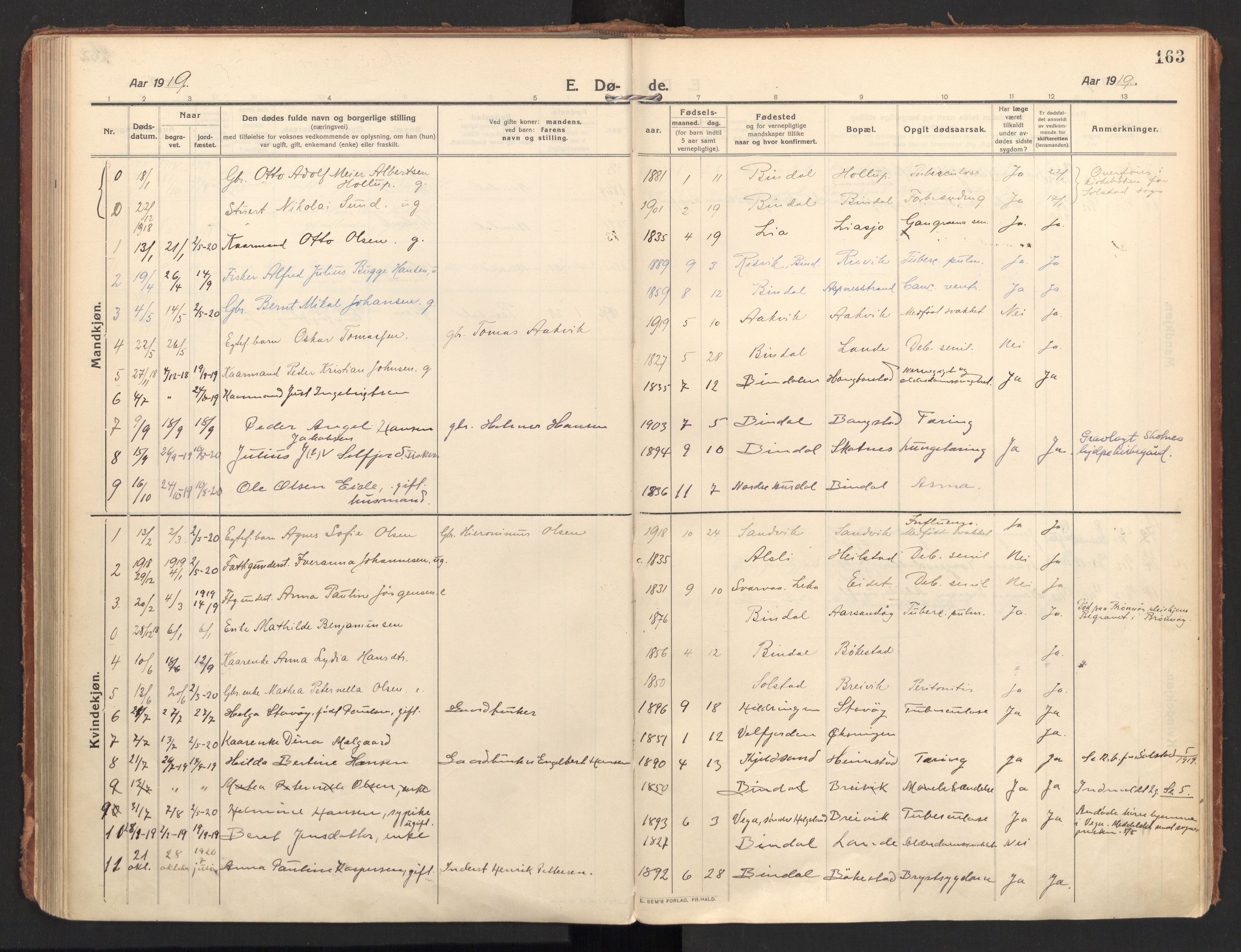 Ministerialprotokoller, klokkerbøker og fødselsregistre - Nordland, SAT/A-1459/810/L0156: Parish register (official) no. 810A15, 1915-1930, p. 163