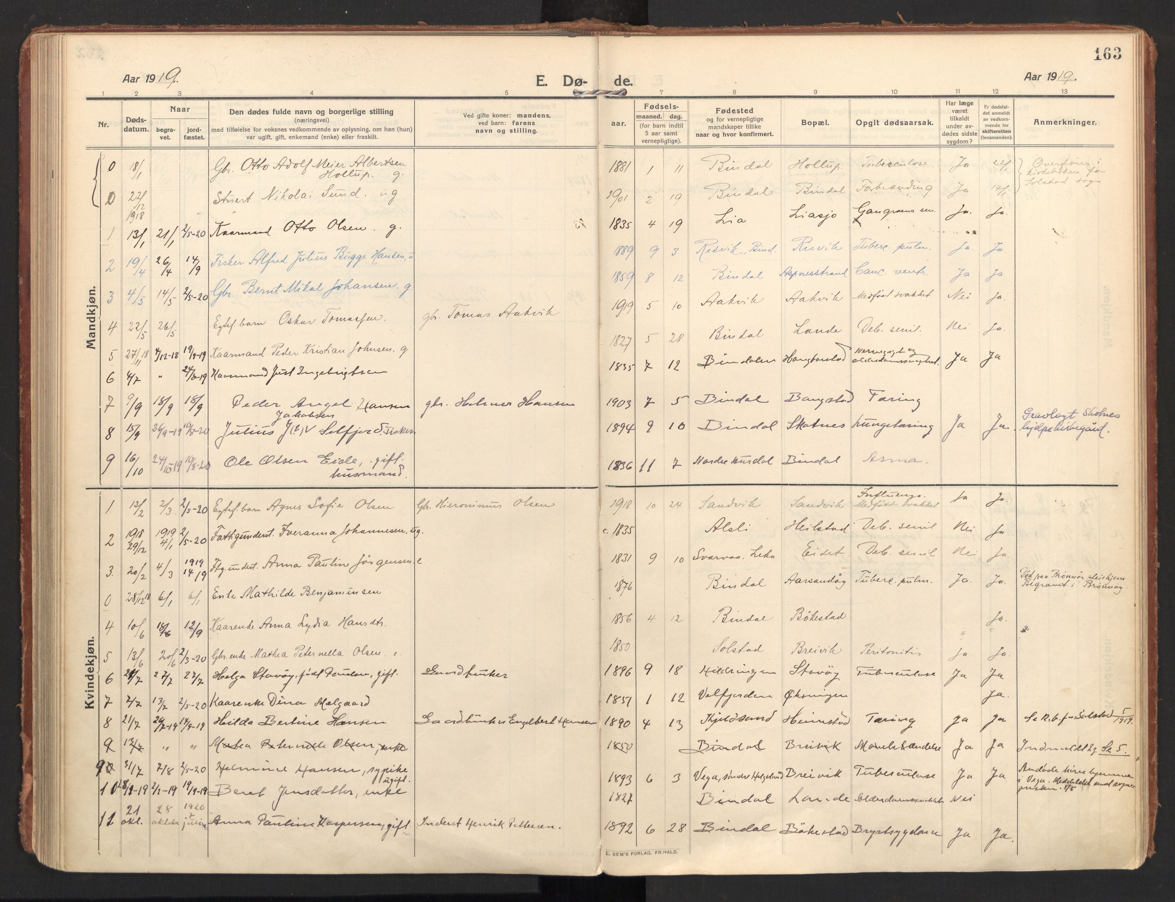 Ministerialprotokoller, klokkerbøker og fødselsregistre - Nordland, AV/SAT-A-1459/810/L0156: Parish register (official) no. 810A15, 1915-1930, p. 163