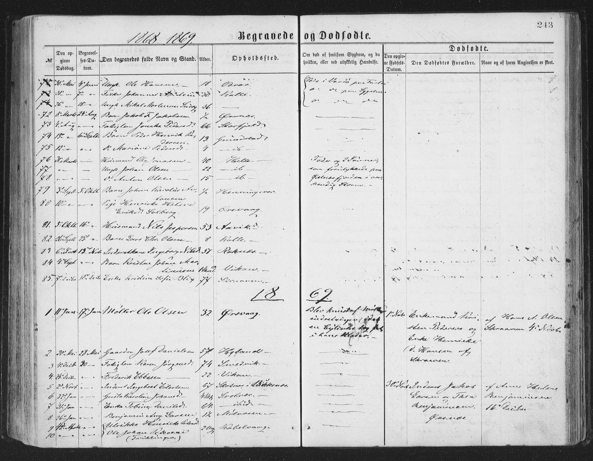 Ministerialprotokoller, klokkerbøker og fødselsregistre - Nordland, AV/SAT-A-1459/874/L1057: Parish register (official) no. 874A01, 1866-1877, p. 243