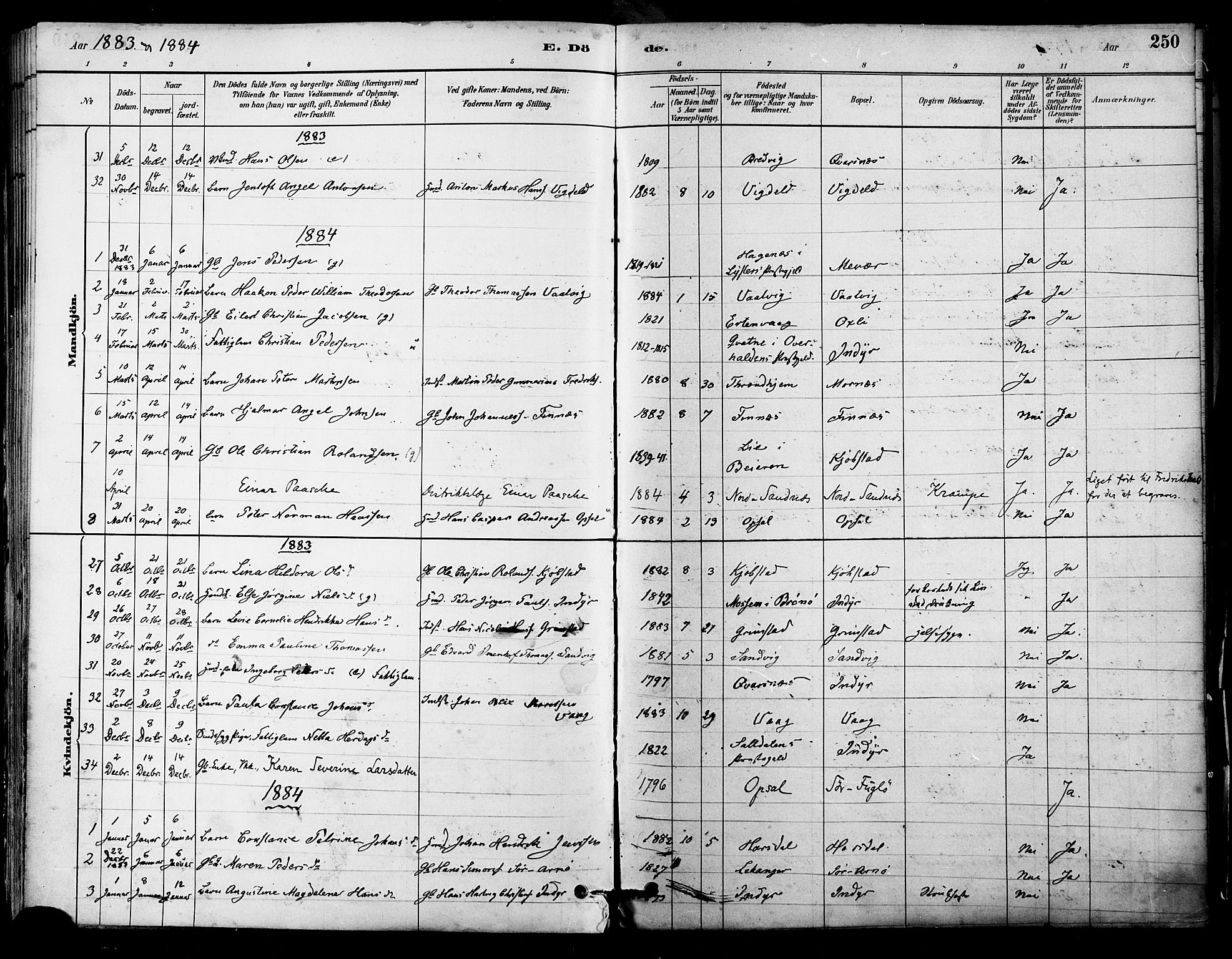 Ministerialprotokoller, klokkerbøker og fødselsregistre - Nordland, AV/SAT-A-1459/805/L0099: Parish register (official) no. 805A06, 1880-1891, p. 250