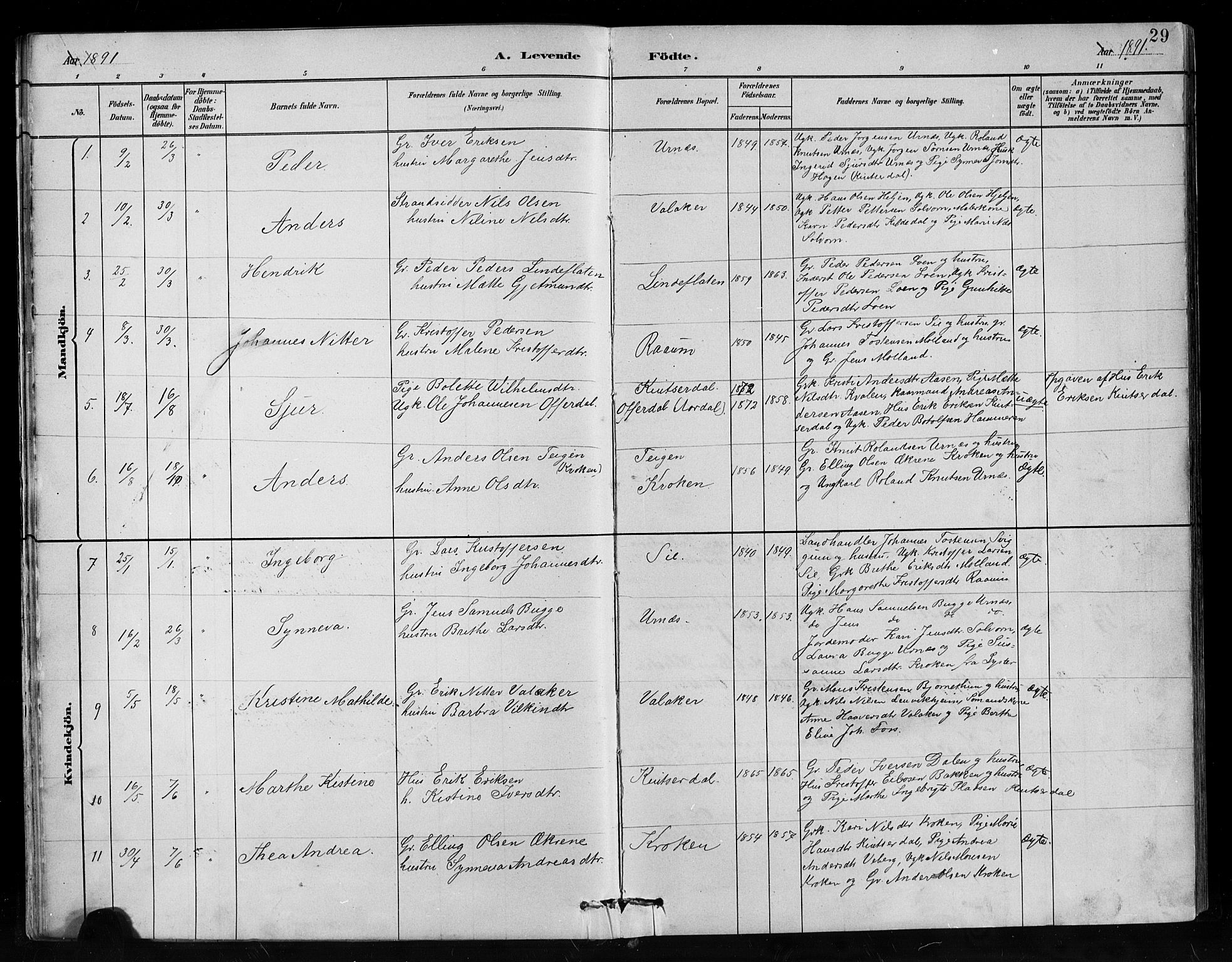 Hafslo sokneprestembete, SAB/A-80301/H/Hab/Habc/L0001: Parish register (copy) no. C 1, 1882-1908, p. 29