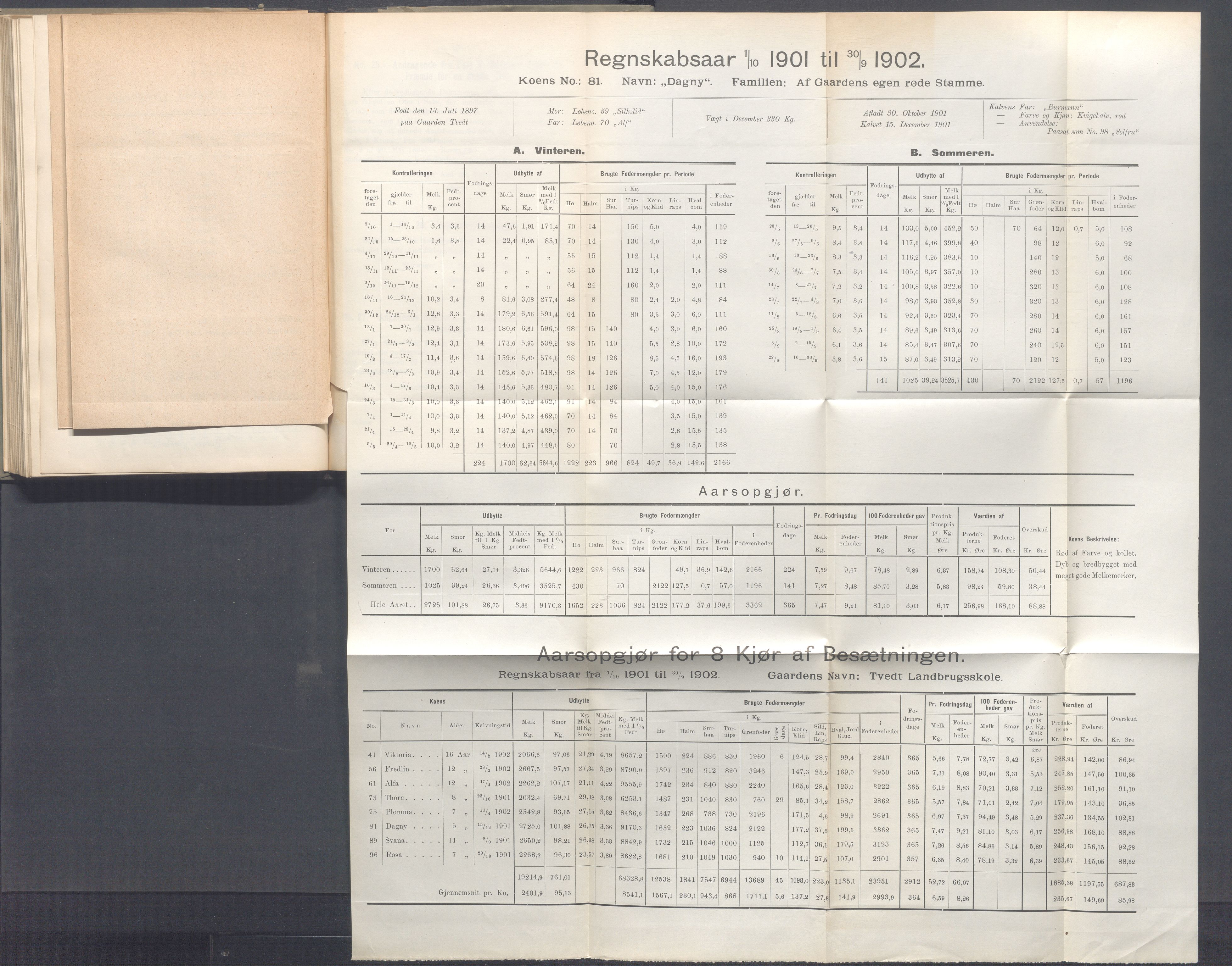 Rogaland fylkeskommune - Fylkesrådmannen , IKAR/A-900/A, 1903, p. 118