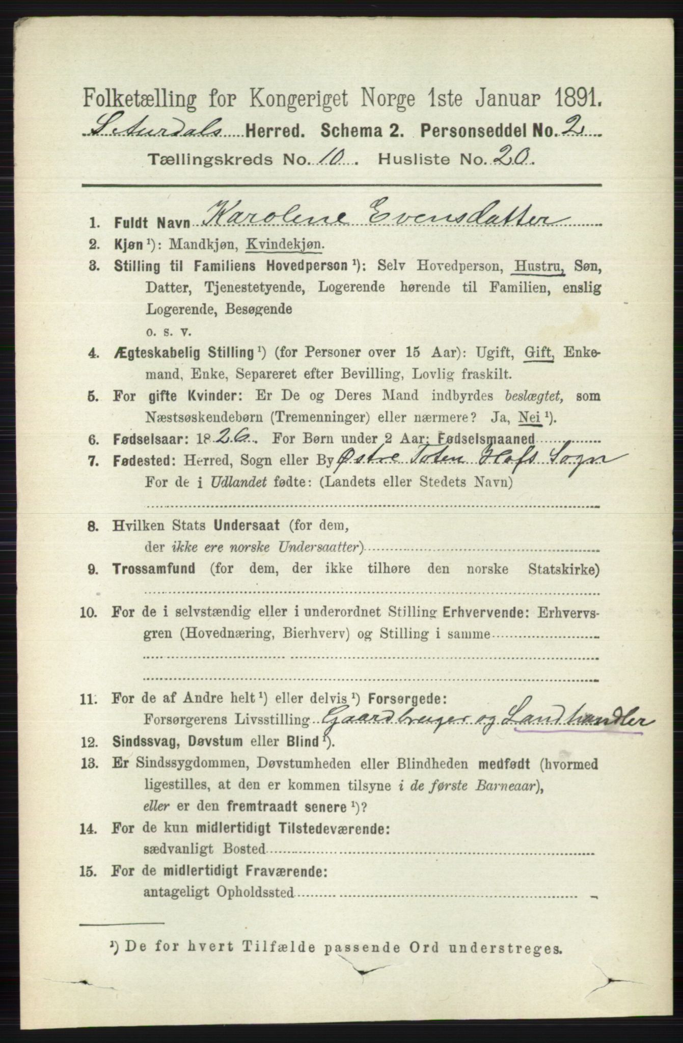 RA, 1891 census for 0540 Sør-Aurdal, 1891, p. 6036