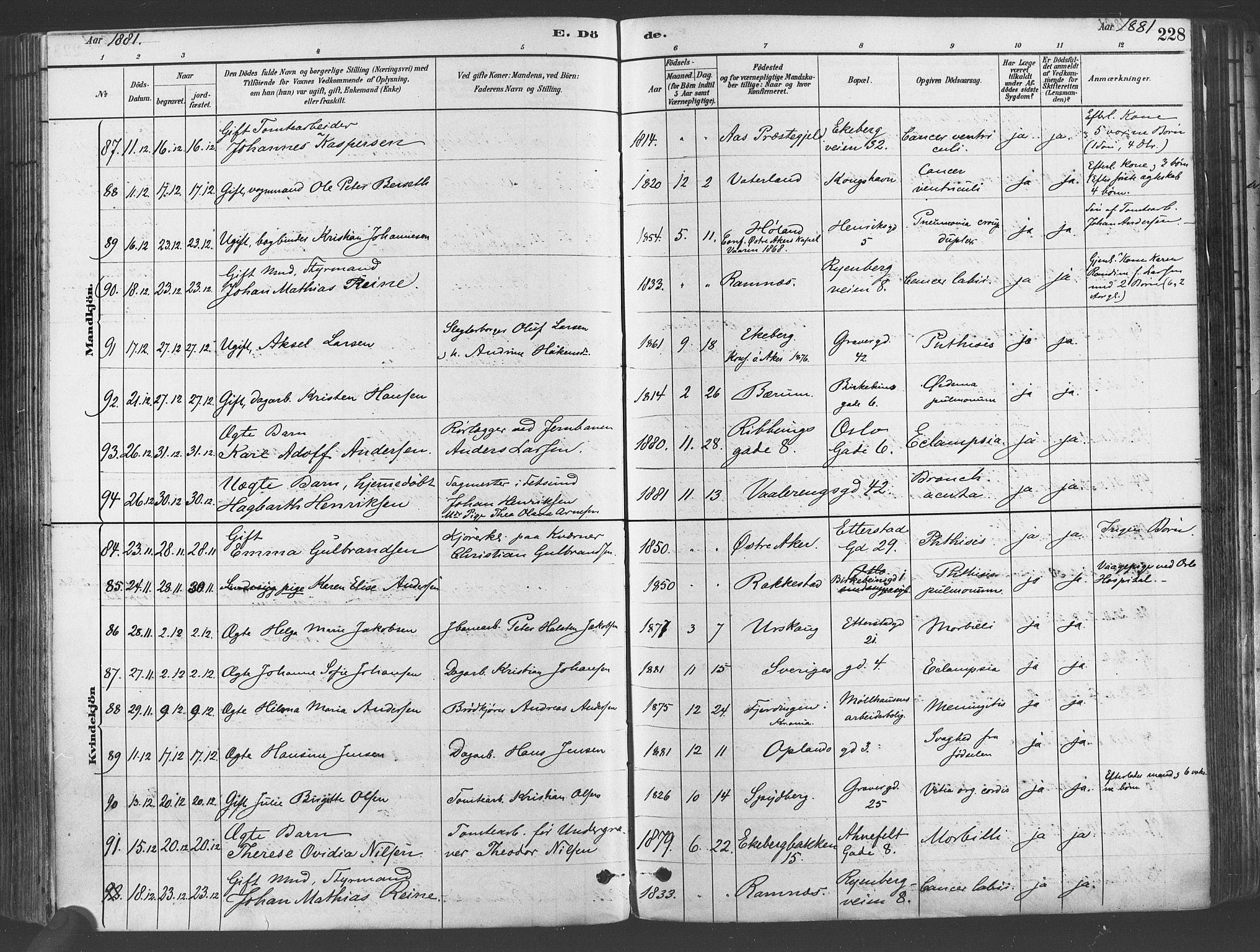 Gamlebyen prestekontor Kirkebøker, AV/SAO-A-10884/F/Fa/L0006: Parish register (official) no. 6, 1881-1890, p. 228