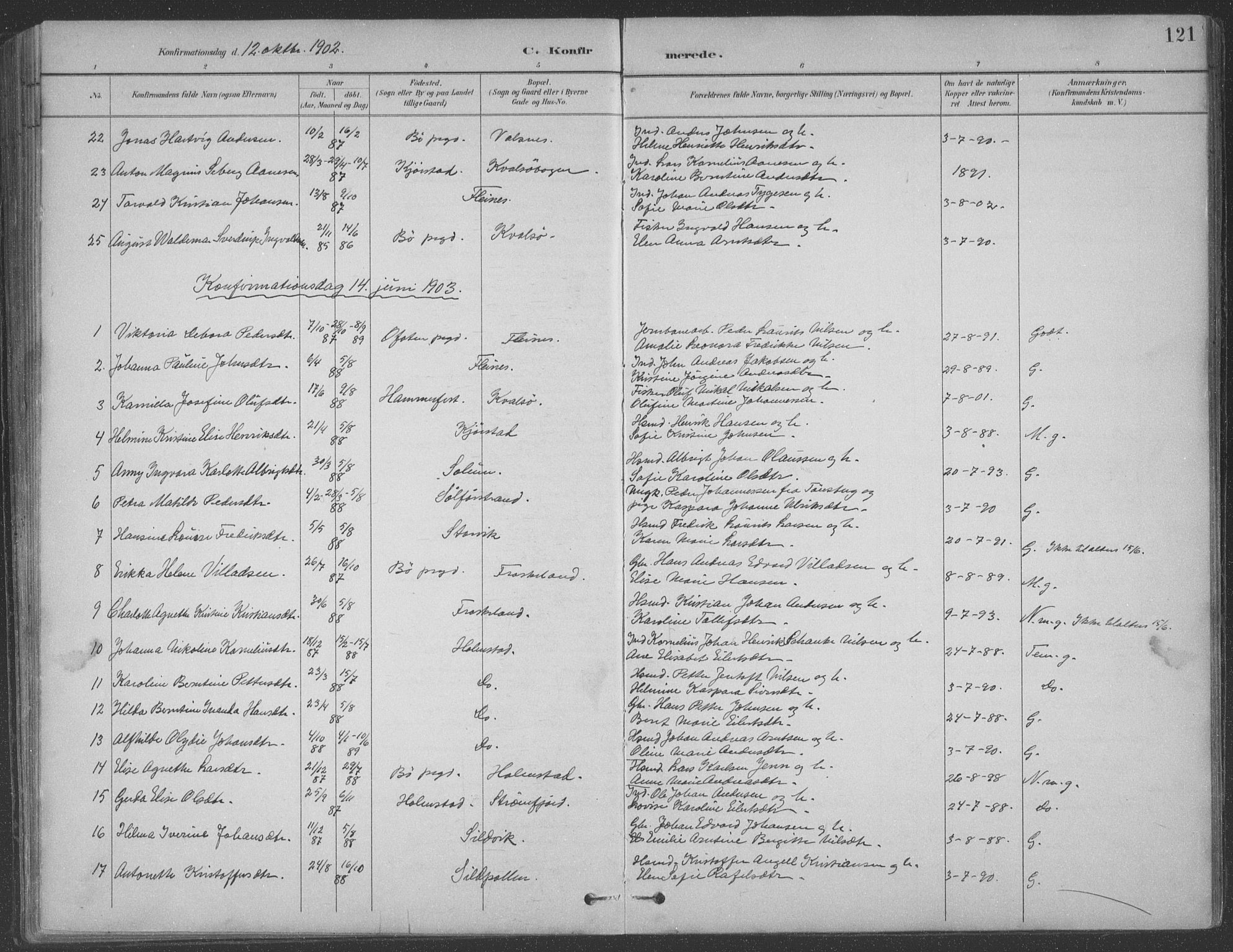 Ministerialprotokoller, klokkerbøker og fødselsregistre - Nordland, AV/SAT-A-1459/890/L1290: Parish register (copy) no. 890C01, 1882-1911, p. 121