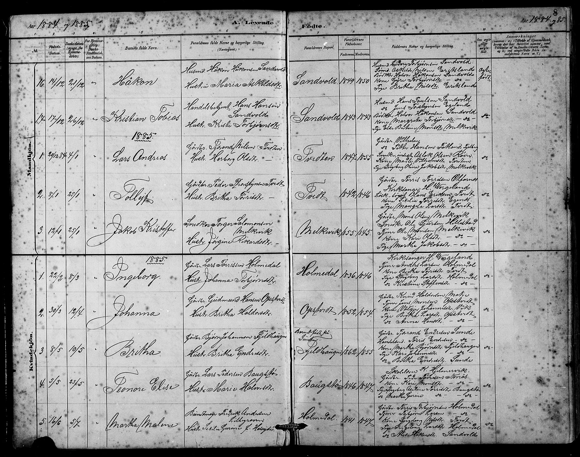 Husnes Sokneprestembete, SAB/A-75901/H/Hab: Parish register (copy) no. B 2, 1884-1914, p. 8