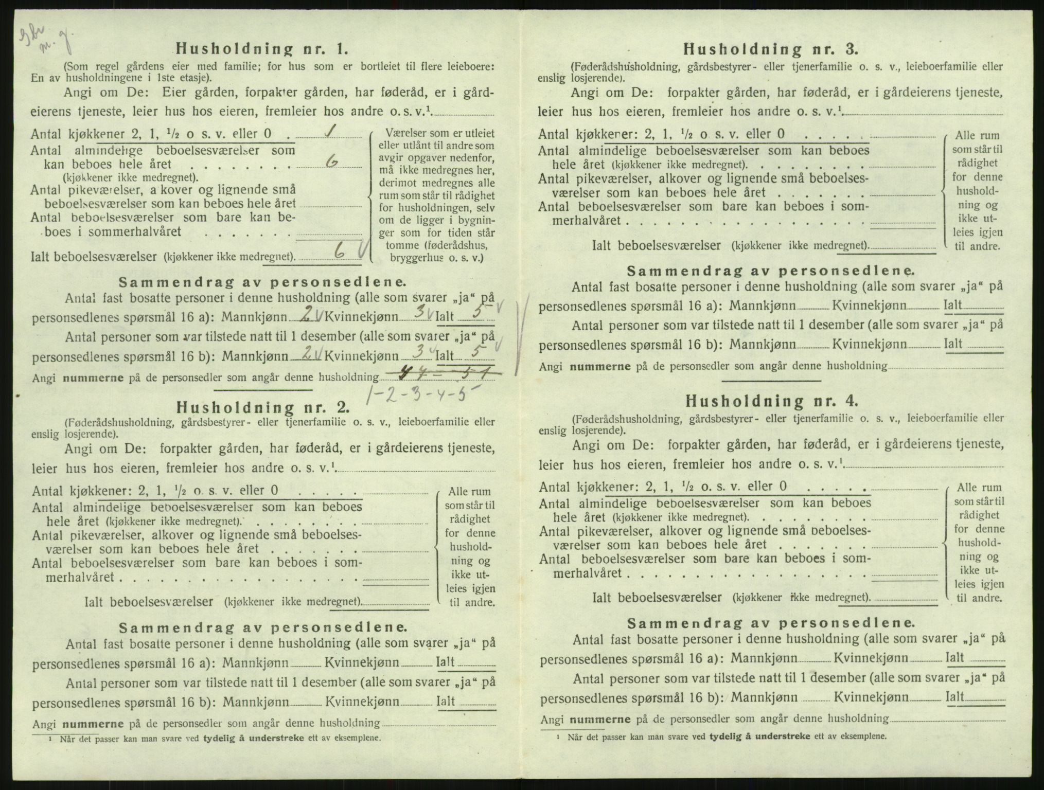 SAK, 1920 census for Hornnes, 1920, p. 108