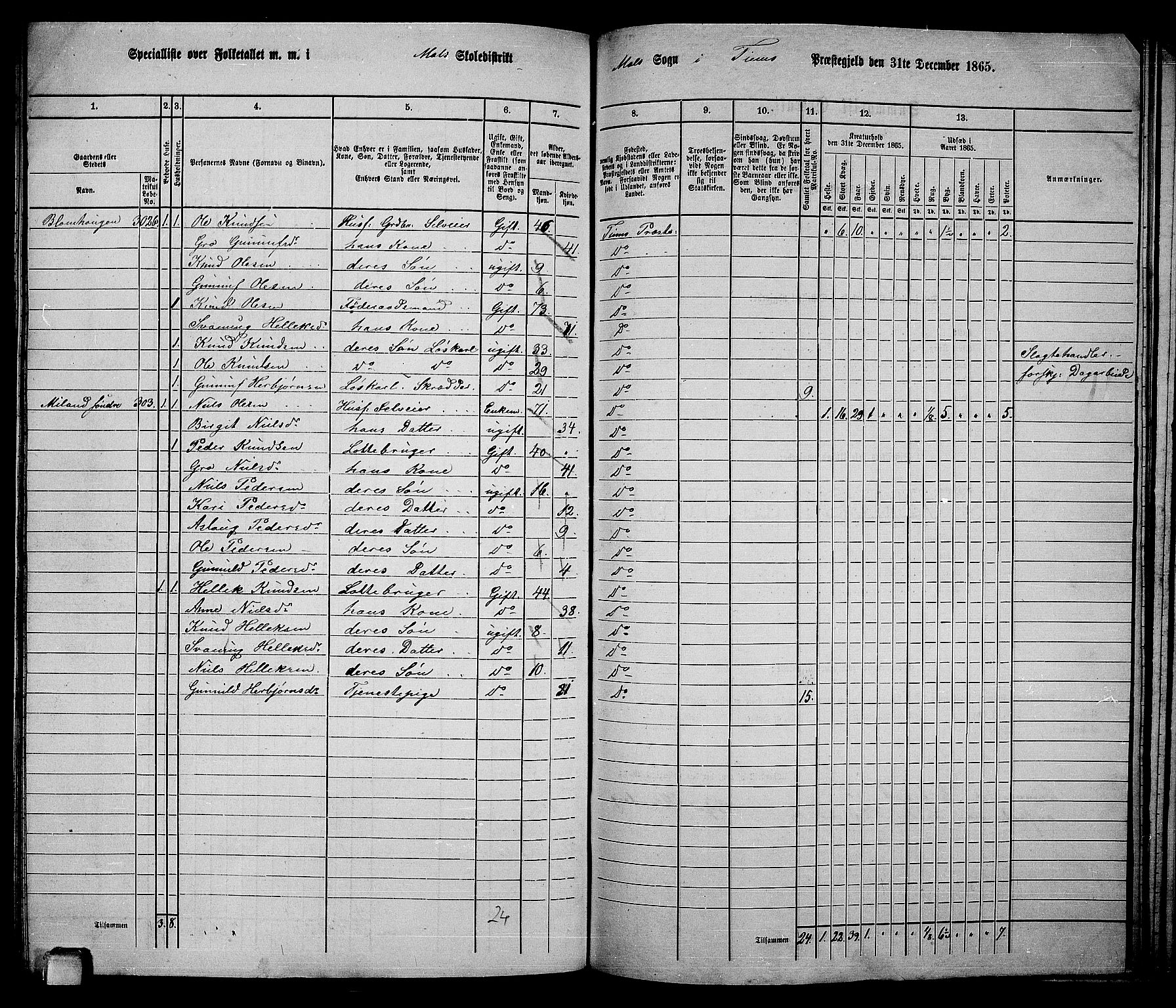 RA, 1865 census for Tinn, 1865, p. 92