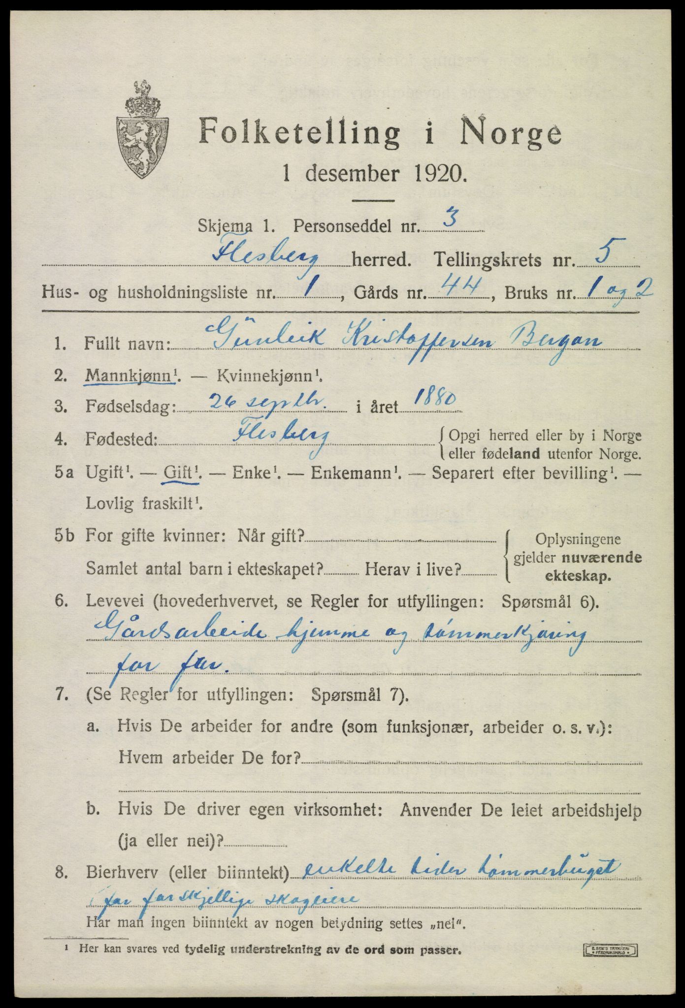 SAKO, 1920 census for Flesberg, 1920, p. 2419