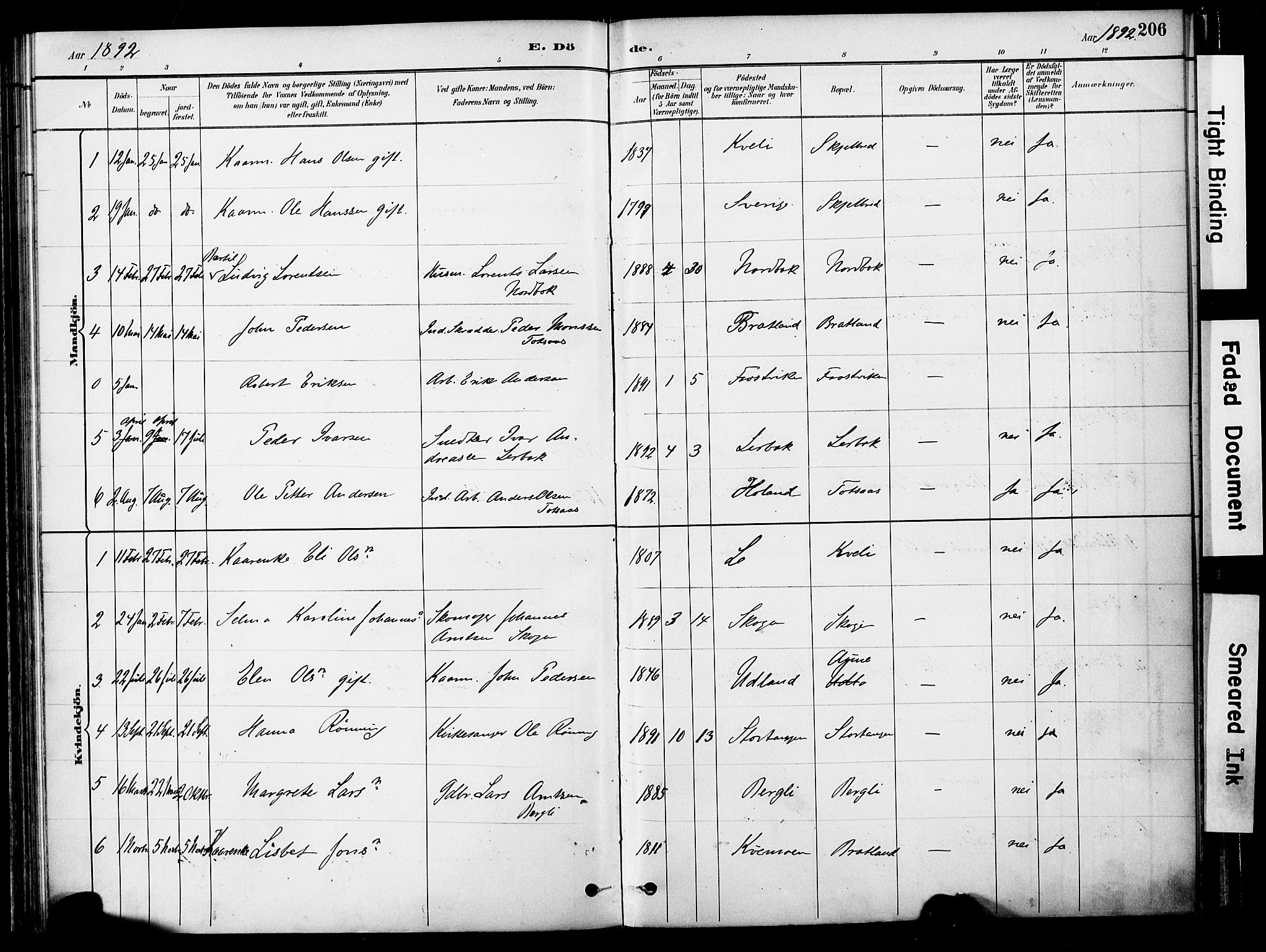 Ministerialprotokoller, klokkerbøker og fødselsregistre - Nord-Trøndelag, SAT/A-1458/755/L0494: Parish register (official) no. 755A03, 1882-1902, p. 206